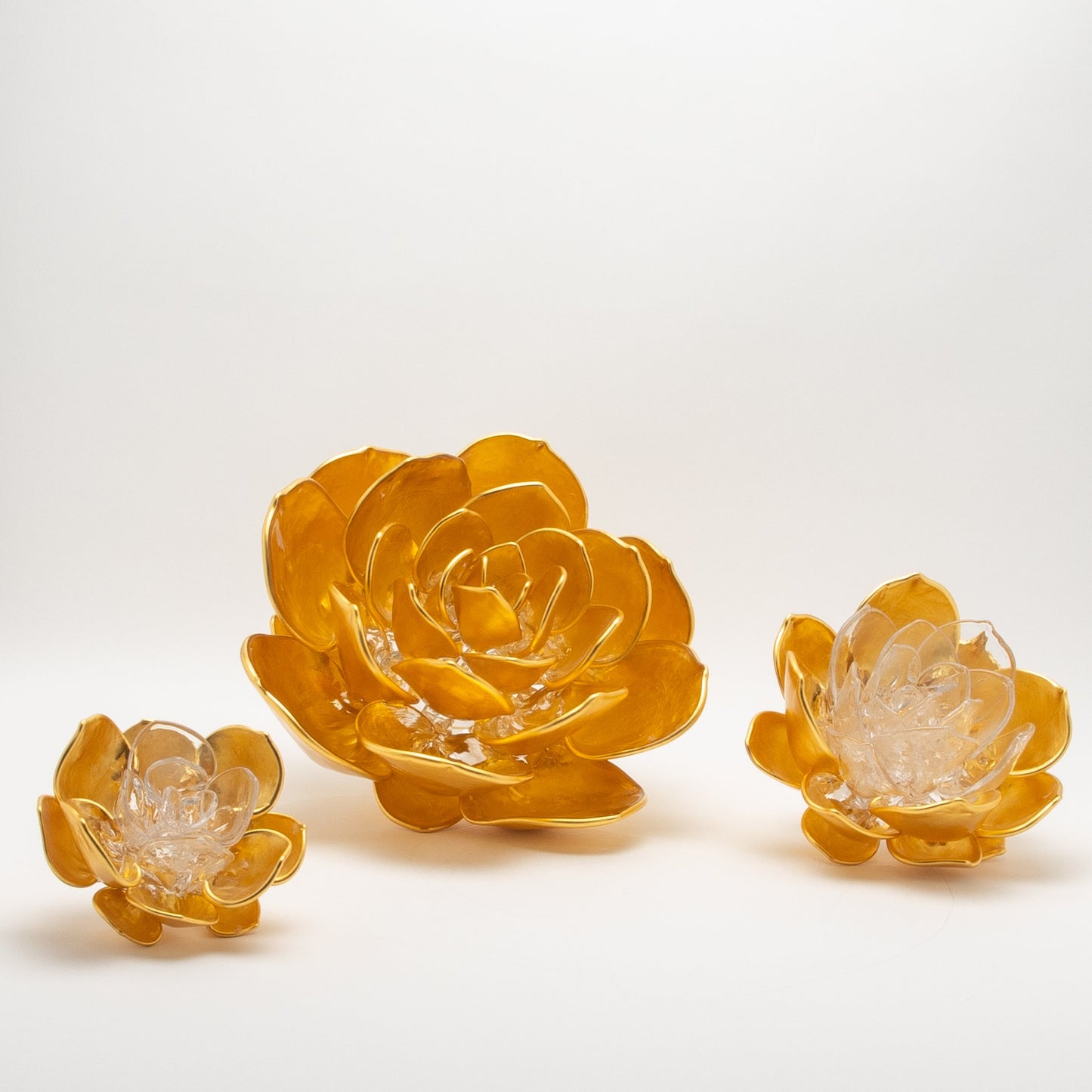 Gold Lotus by Martin Blank