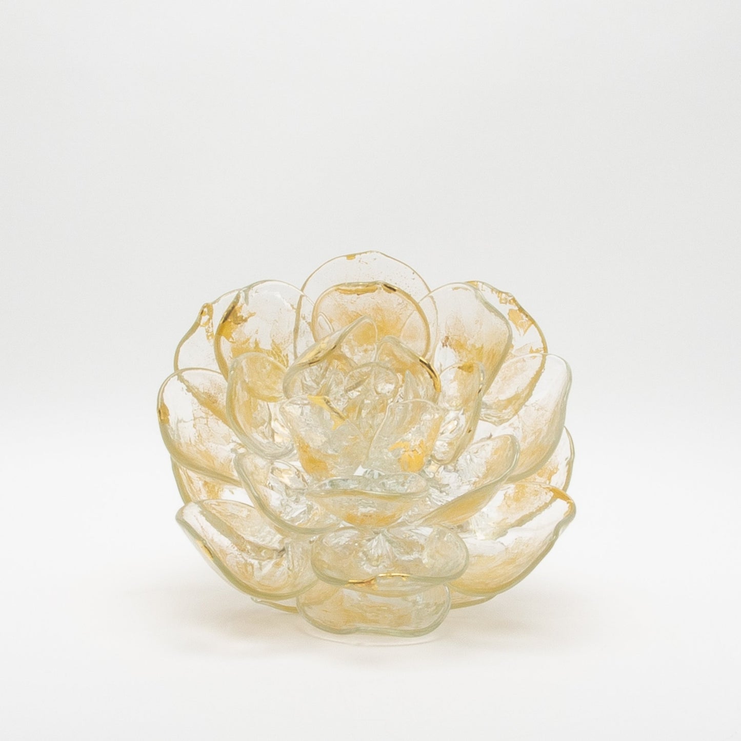 Champagne Lotus by Martin Blank
