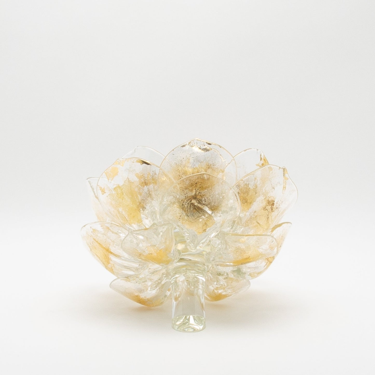 Champagne Lotus by Martin Blank