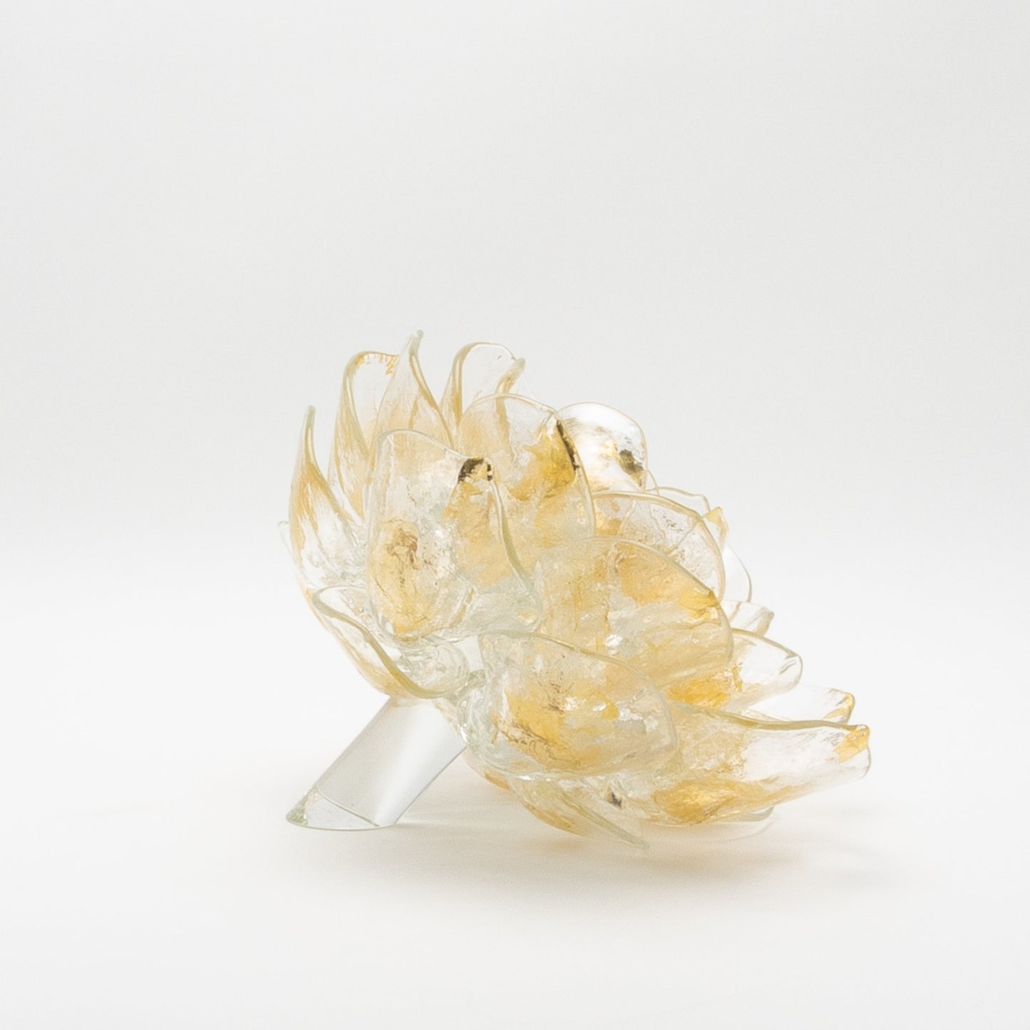 Champagne Lotus by Martin Blank