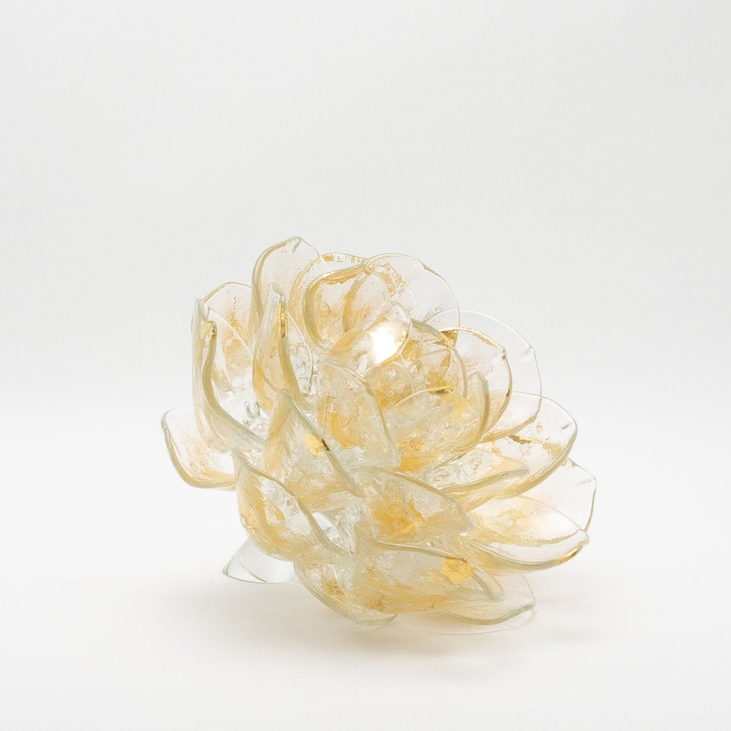 Champagne Lotus by Martin Blank