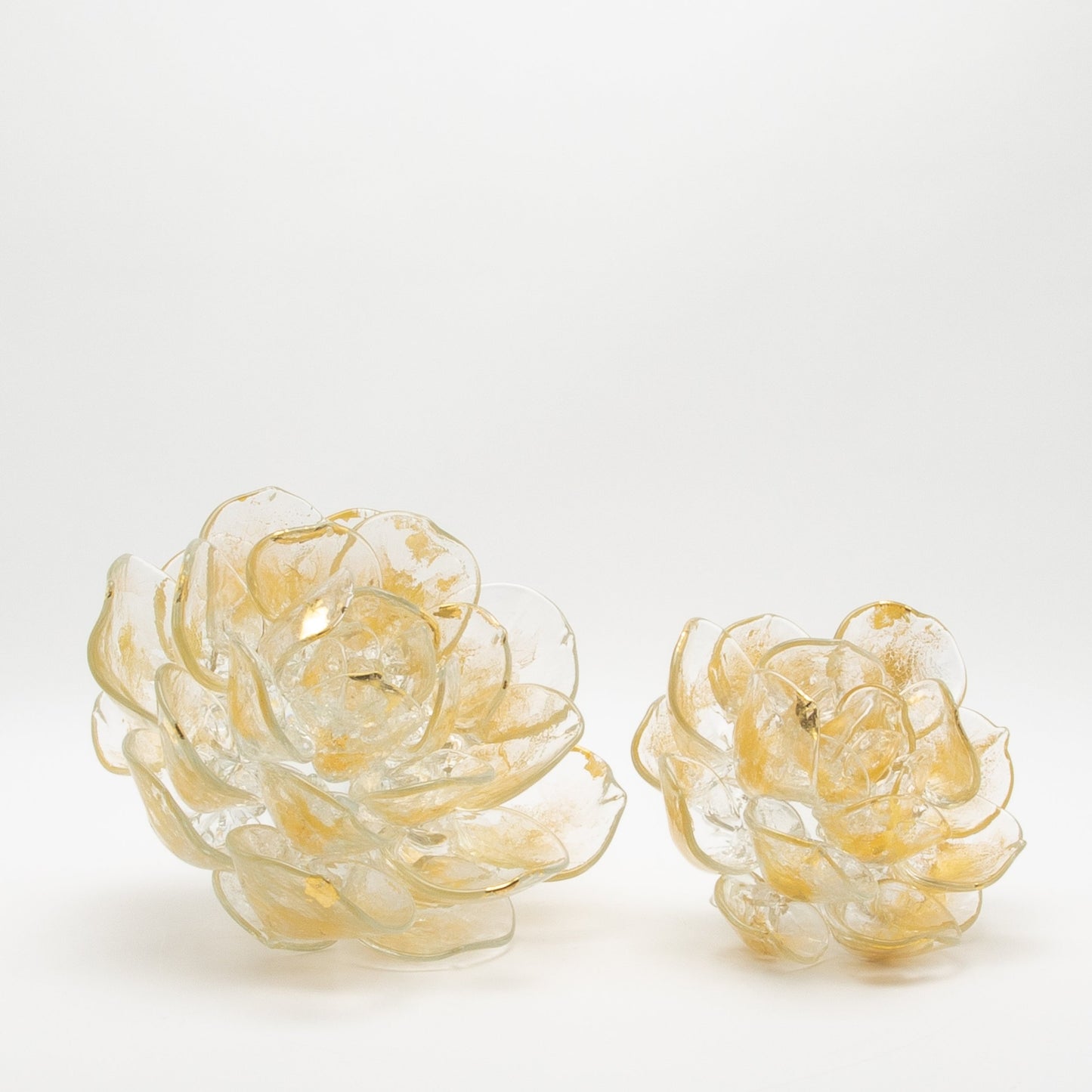 Champagne Lotus by Martin Blank