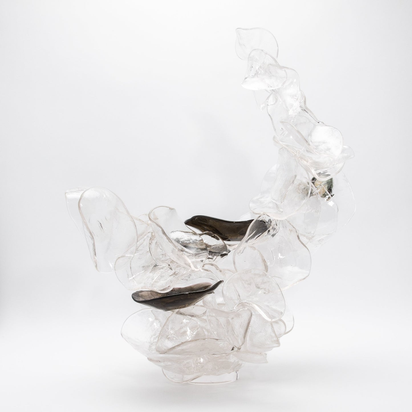 Shimmer by Martin Blank