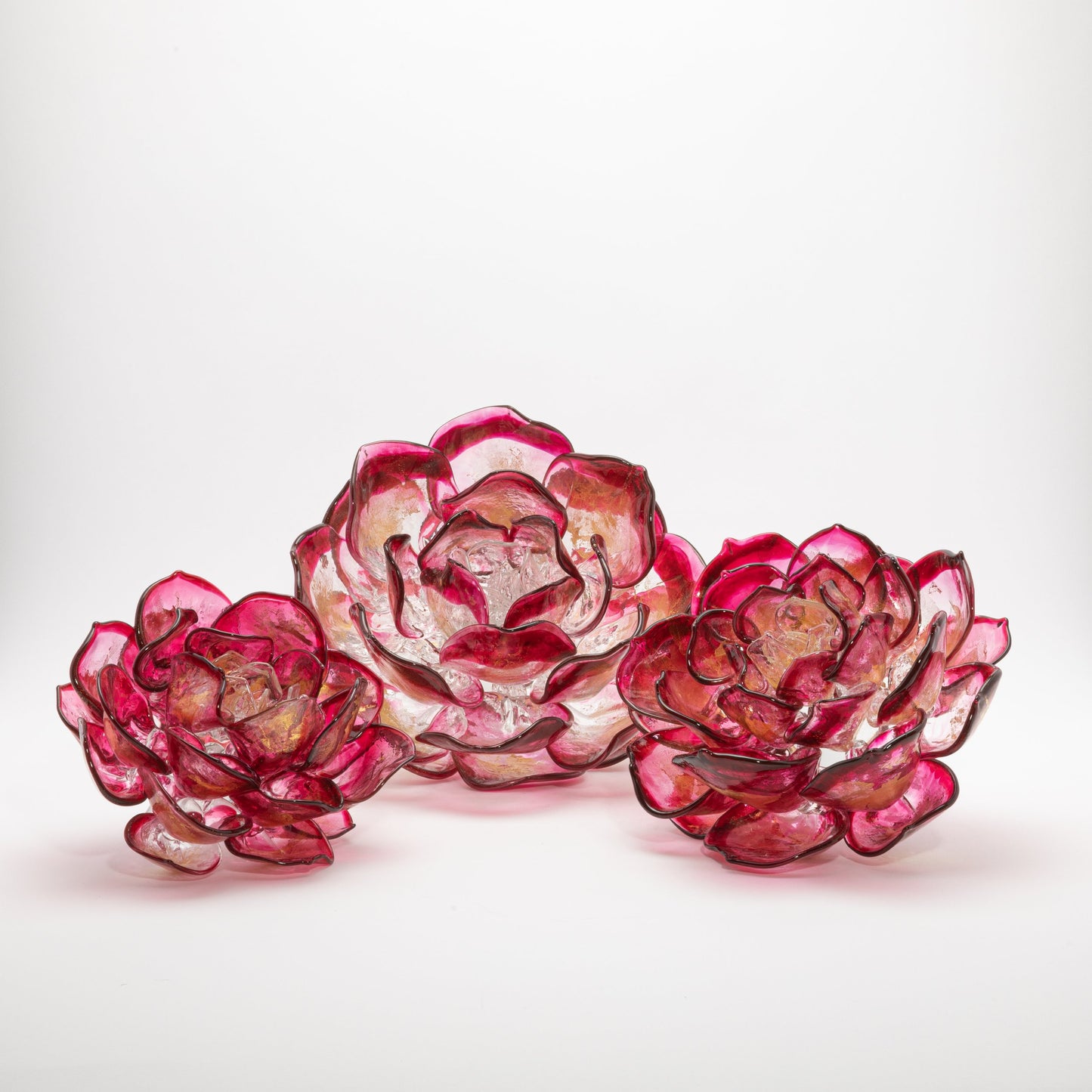 Cranberry Lotus by Martin Blank