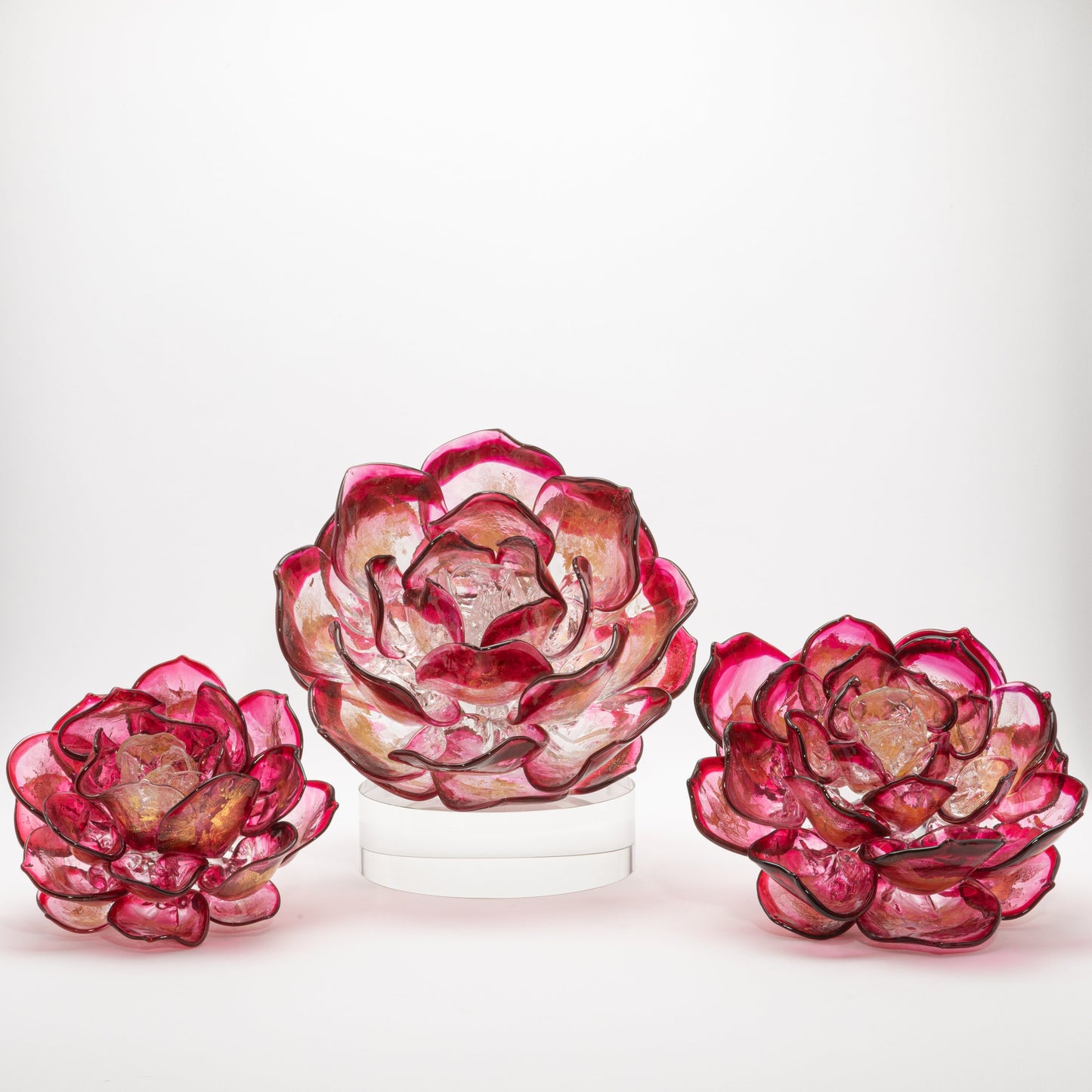 Cranberry Lotus by Martin Blank