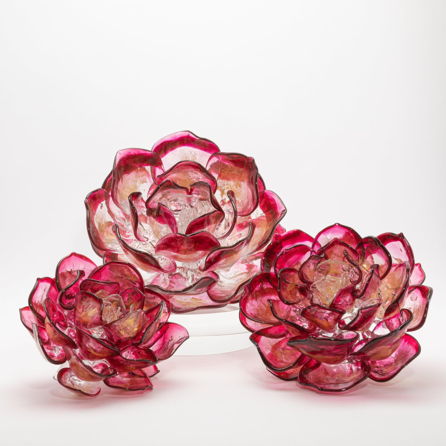 Cranberry Lotus by Martin Blank