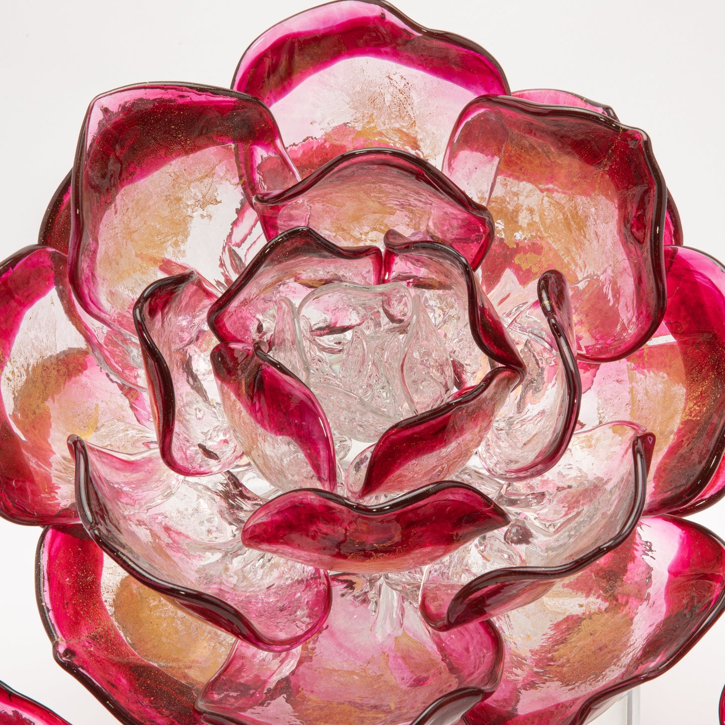 Cranberry Lotus by Martin Blank