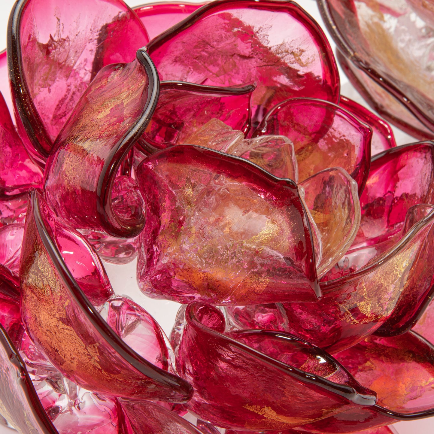 Cranberry Lotus by Martin Blank