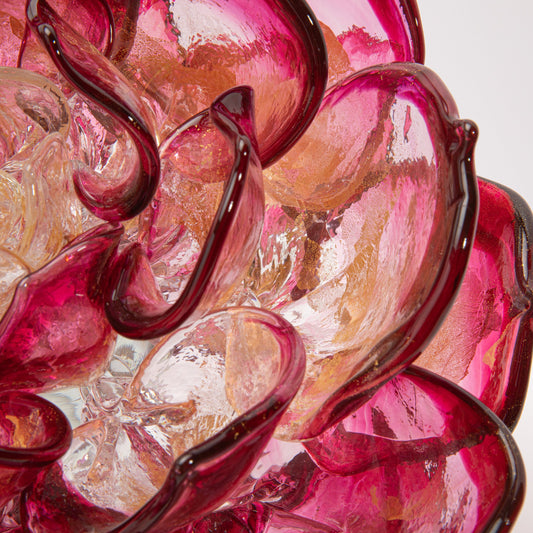 Cranberry Lotus by Martin Blank