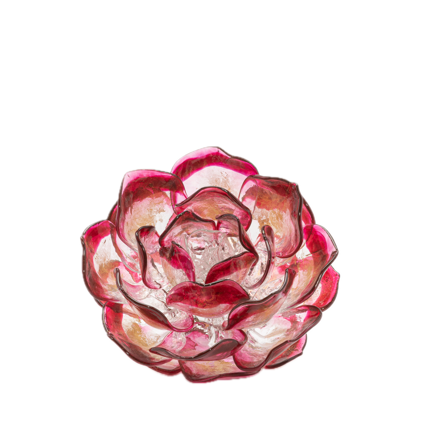 Cranberry Lotus by Martin Blank