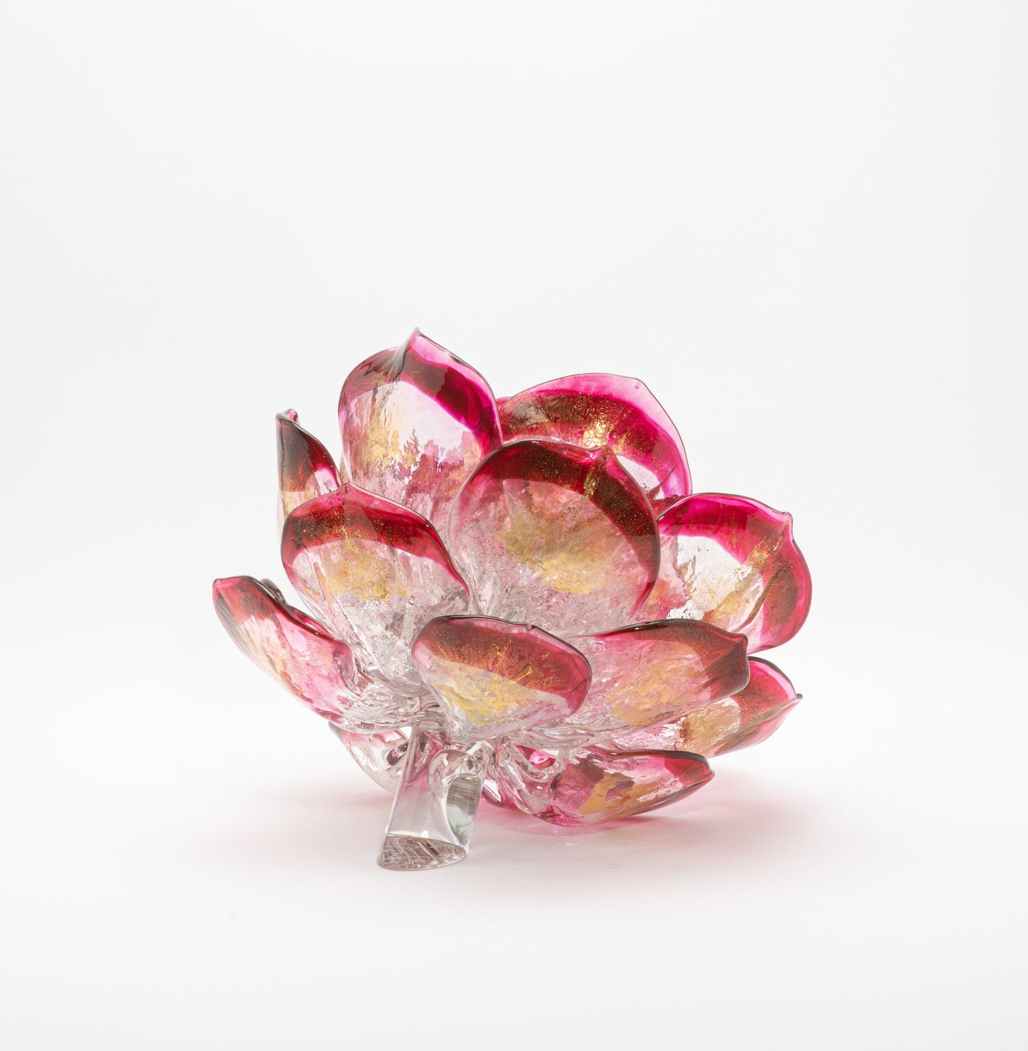 Cranberry Lotus by Martin Blank
