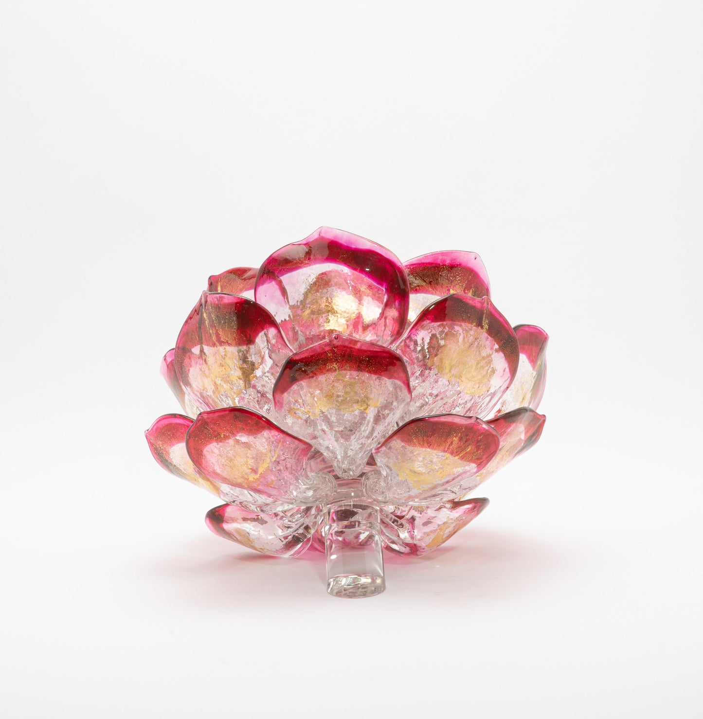 Cranberry Lotus by Martin Blank