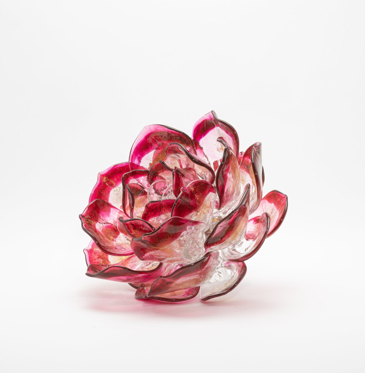 Cranberry Lotus by Martin Blank