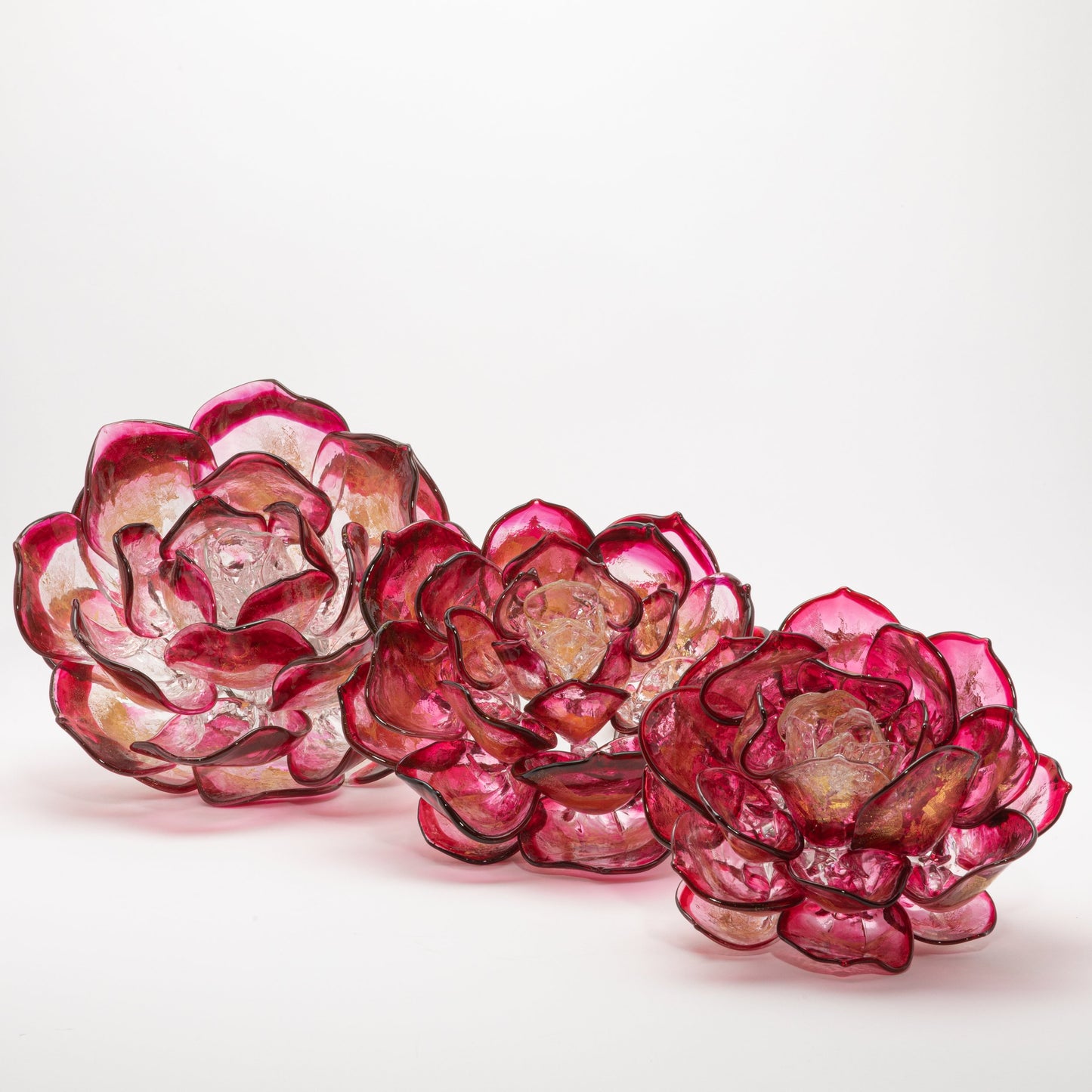 Cranberry Lotus by Martin Blank
