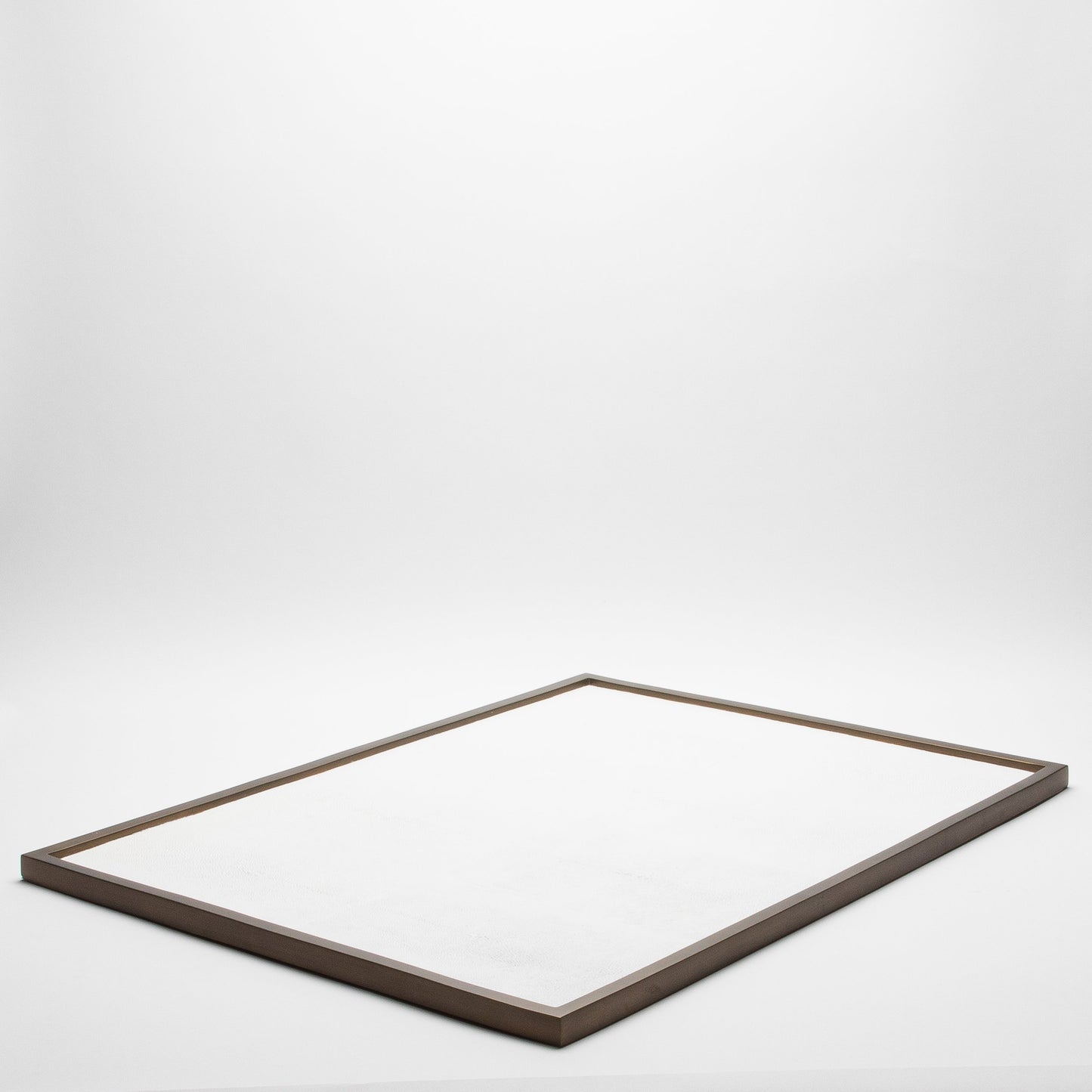 Extra Large Rectangular Tray in Shagreen by Kifu Paris