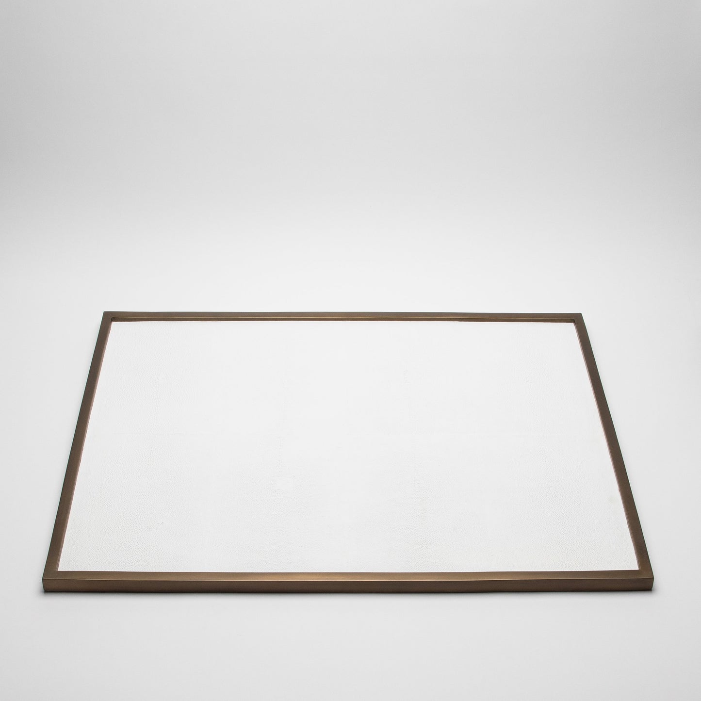 Extra Large Rectangular Tray in Shagreen by Kifu Paris