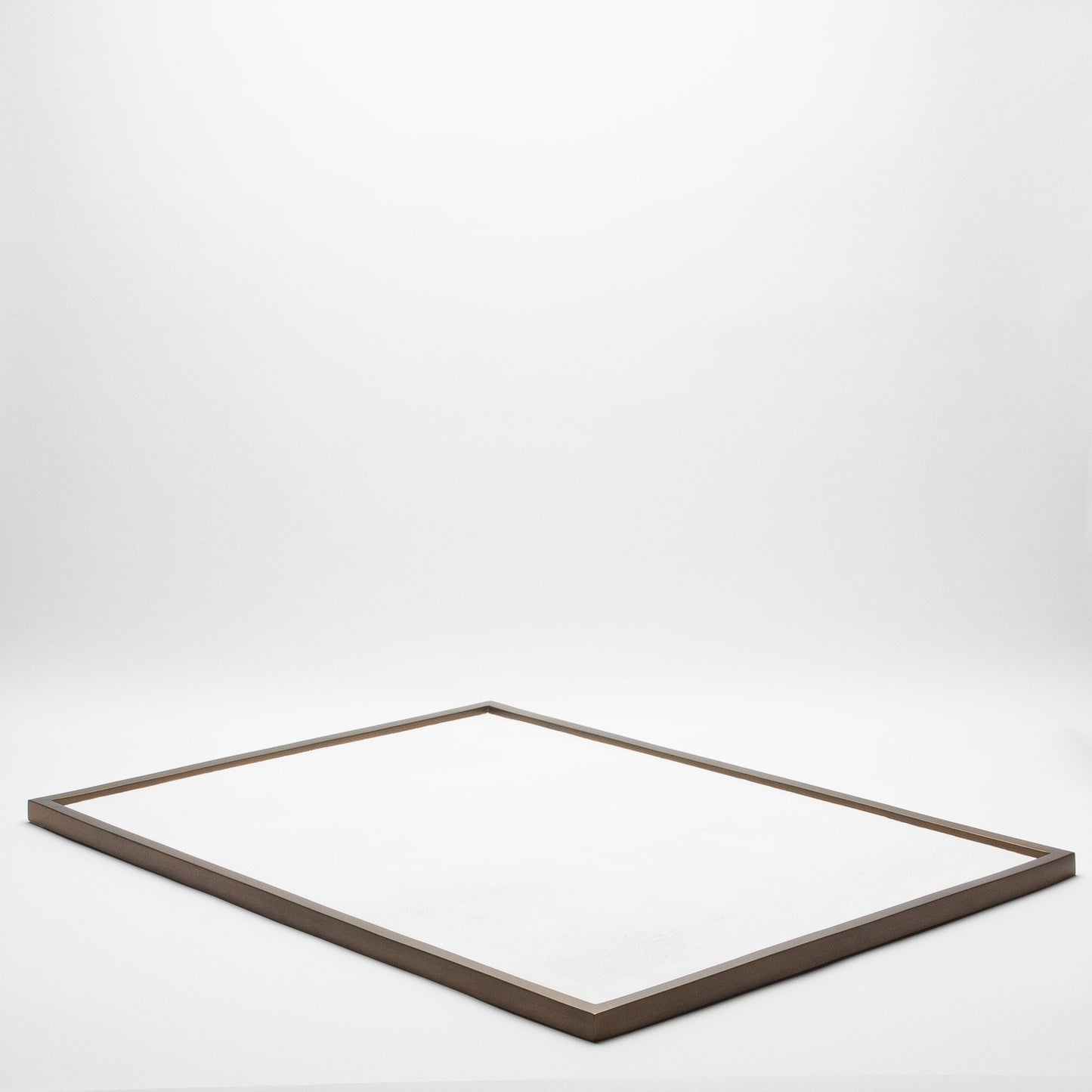 Extra Large Rectangular Tray in Shagreen by Kifu Paris