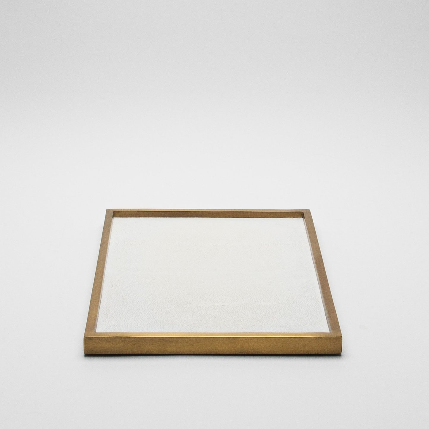 Rectangular Tray in Shagreen by Kifu Paris