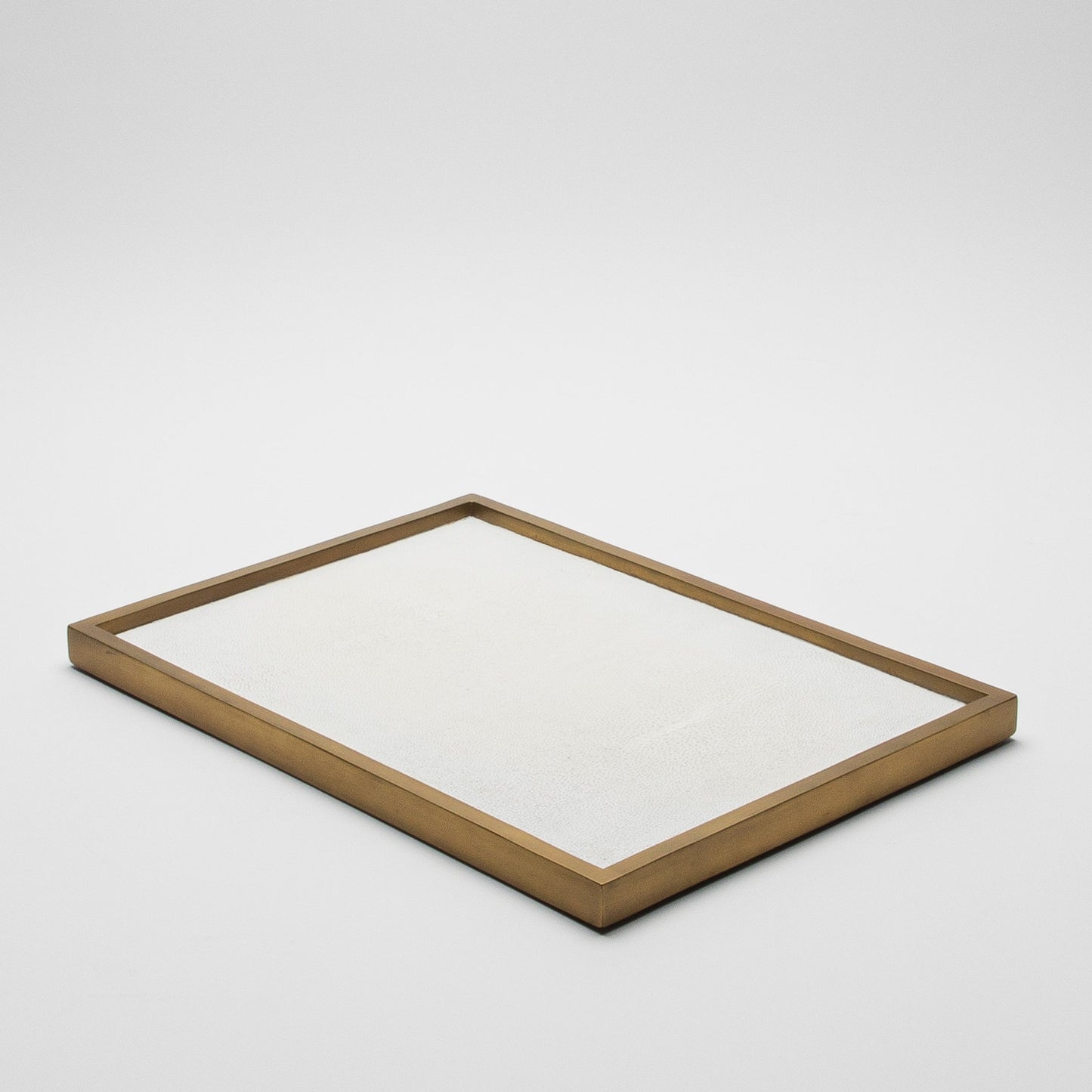 Rectangular Tray in Shagreen by Kifu Paris
