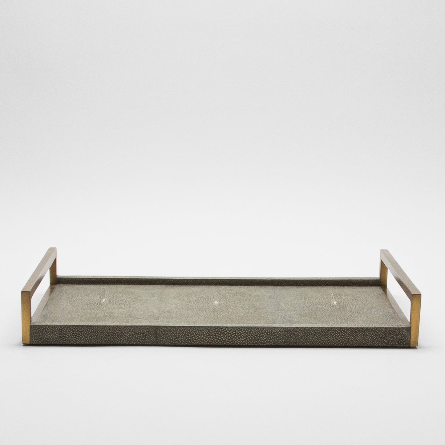 Rectangular Tray in Shagreen with Bronze by R&Y Augousti