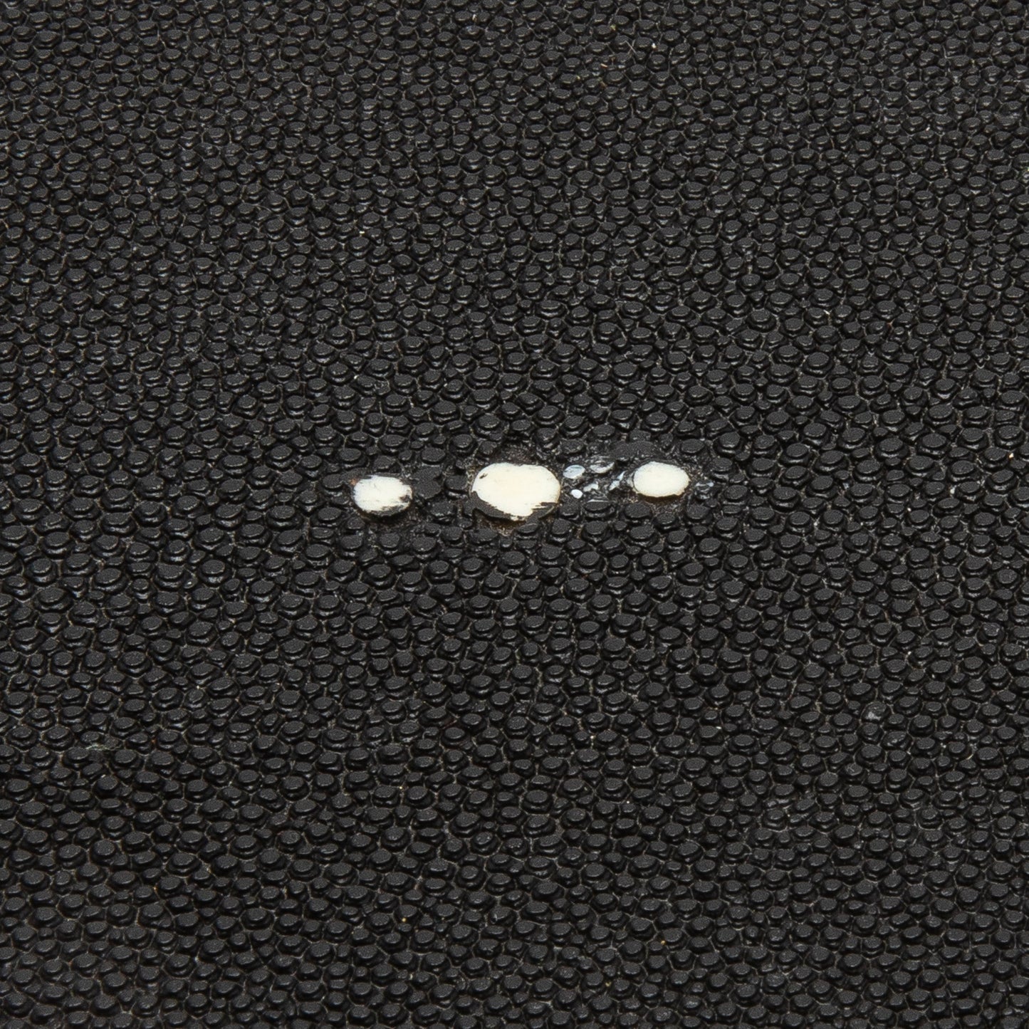 Set of 2 Boxes in Black Shagreen with Bronze Patina Brass by R&Y Augousti