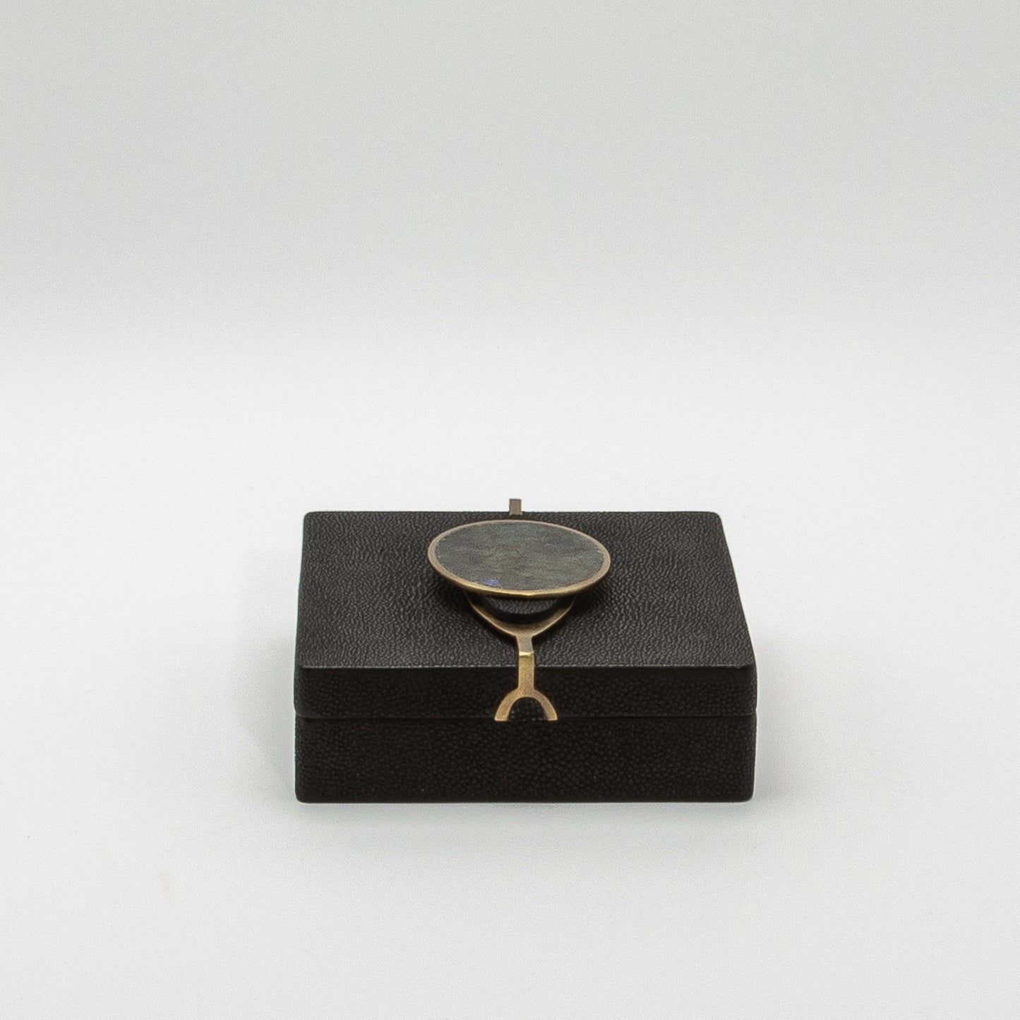 Set of 2 Boxes in Shagreen with Semi-Precious Stone and Brass by Kifu Paris