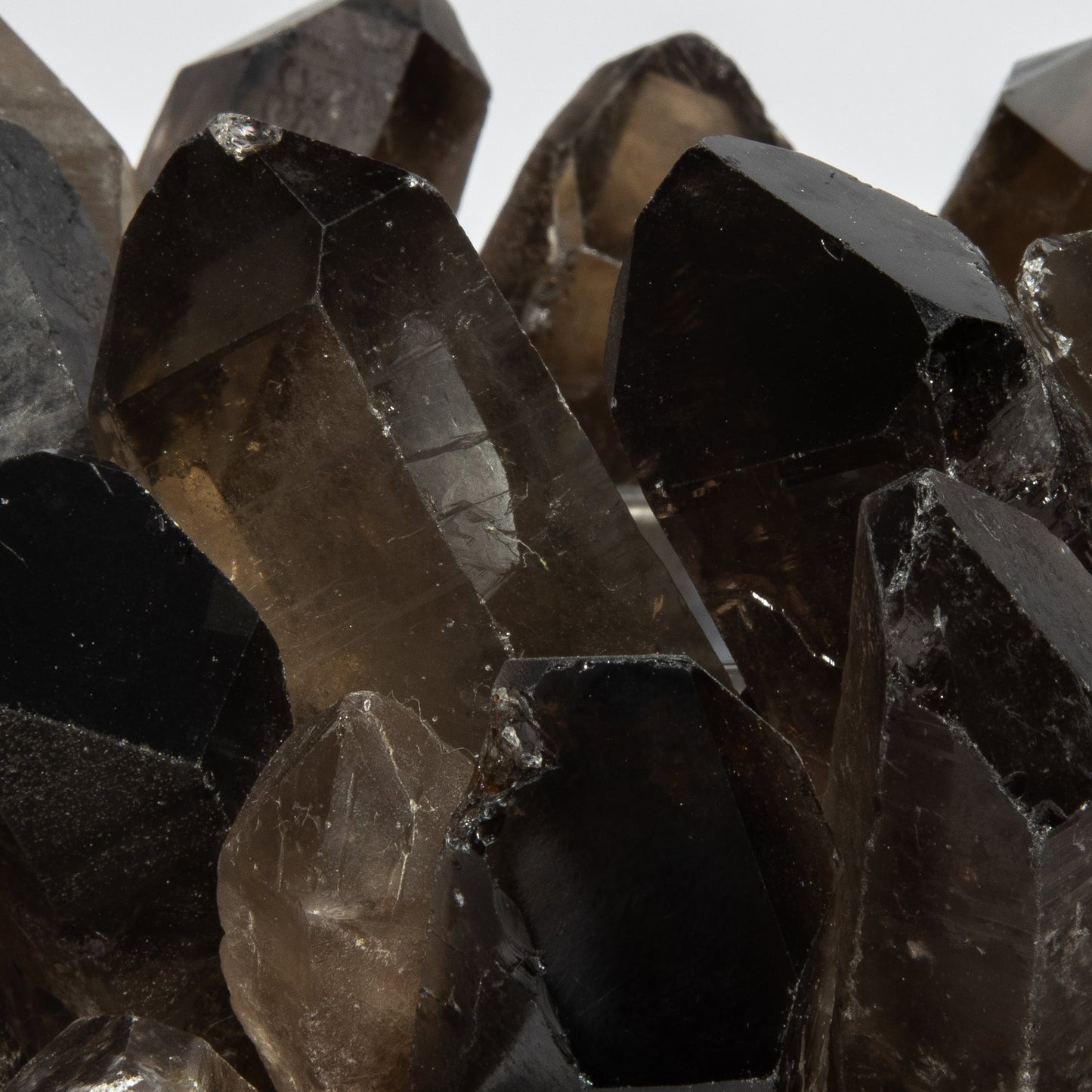 Votive Holder in Smoky Quartz Large by Kathryn McCoy