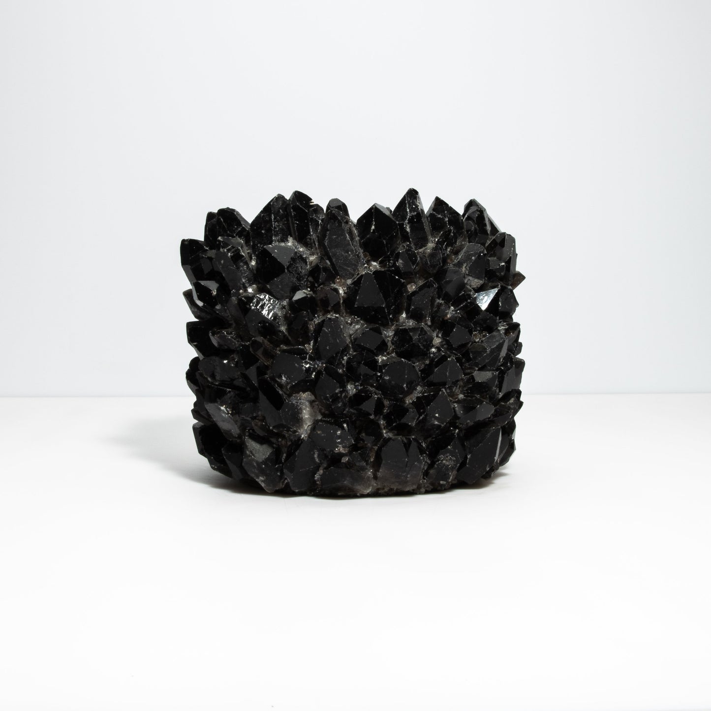 Planter Bowl Grande in Black Quartz by Kathryn McCoy