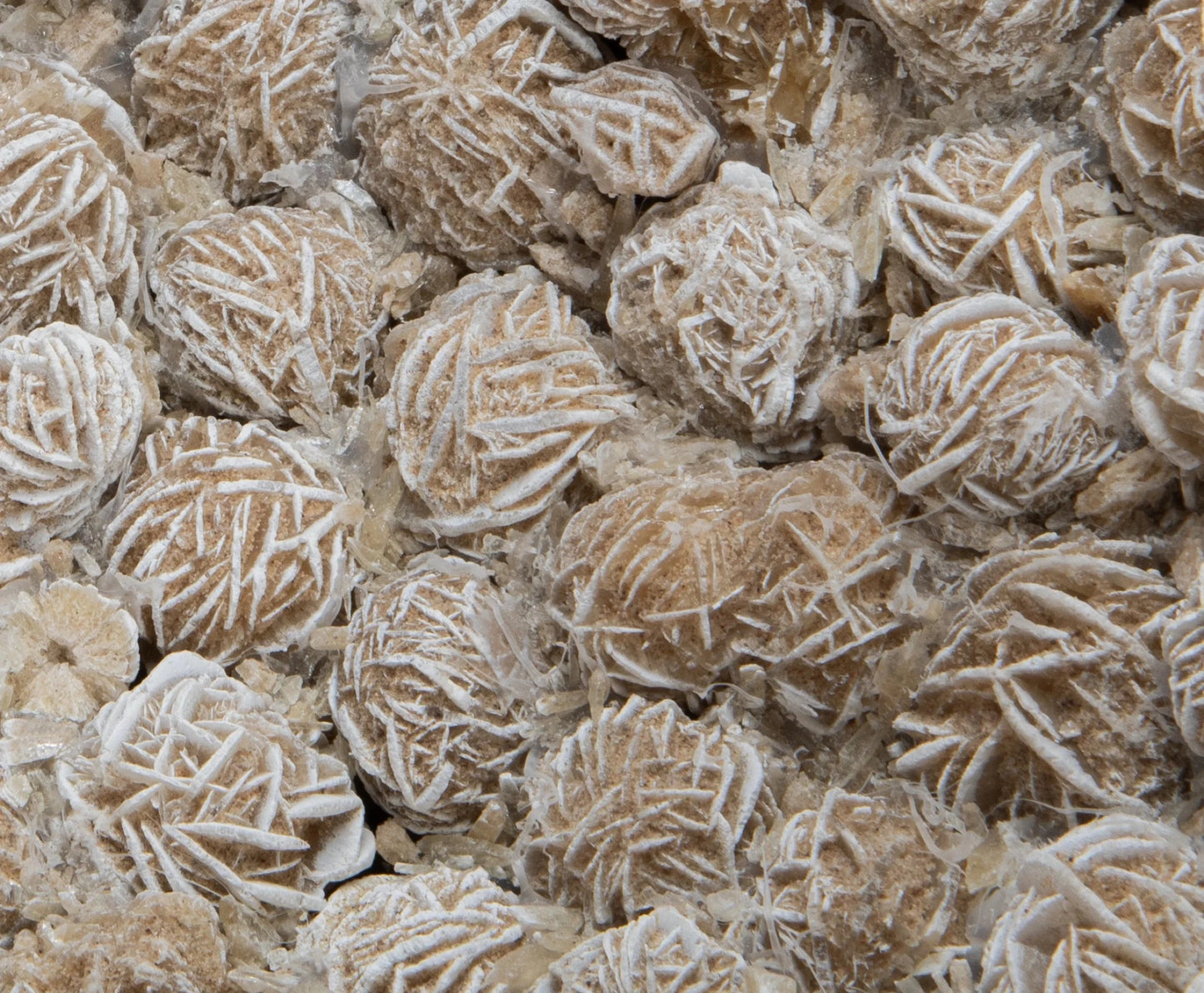 {{ product_title }} by {{ vendor }} – luxury {{ product_type }} at MOGUL