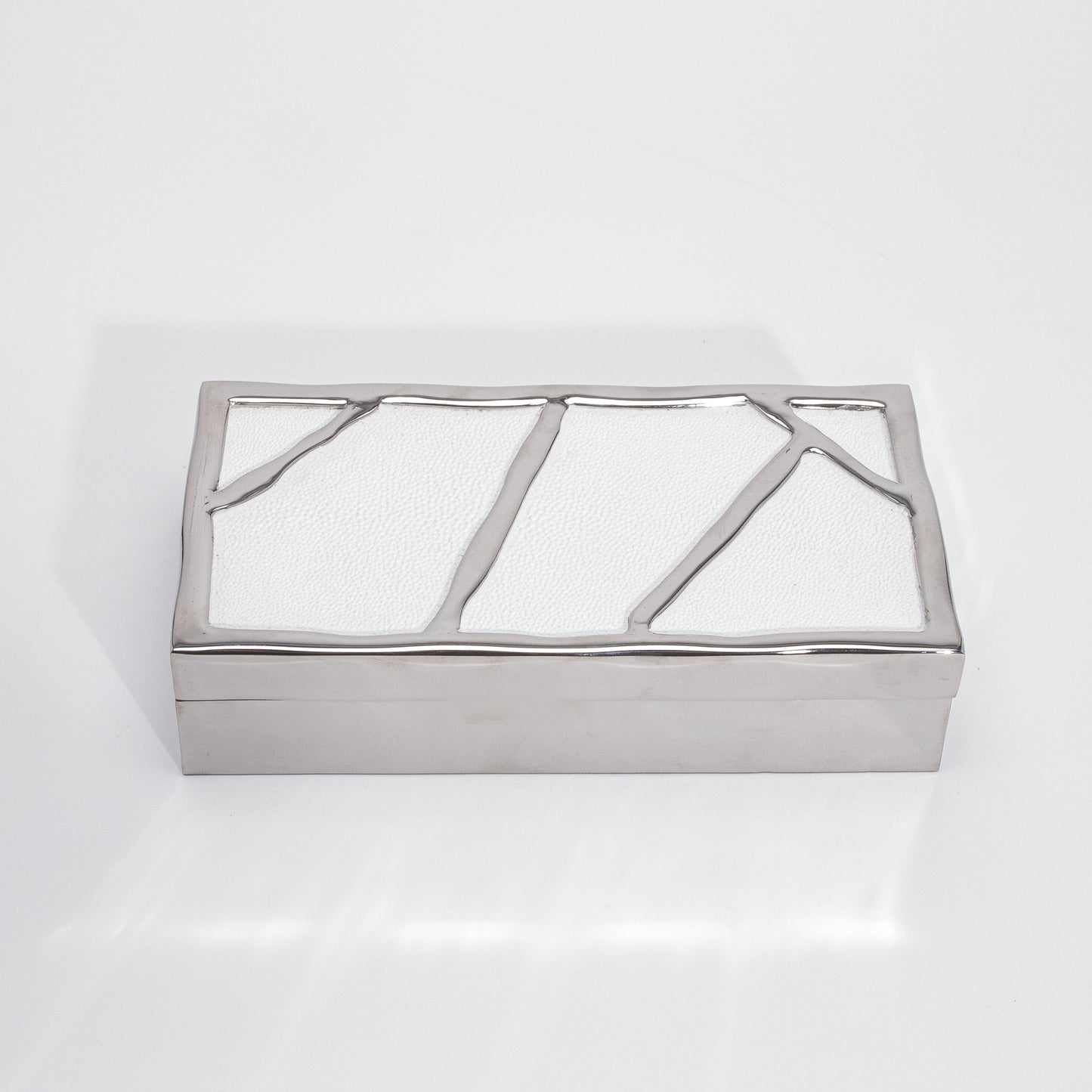 Modern Box in White Shagreen with Polished Stainless Steel by R&Y Augousti