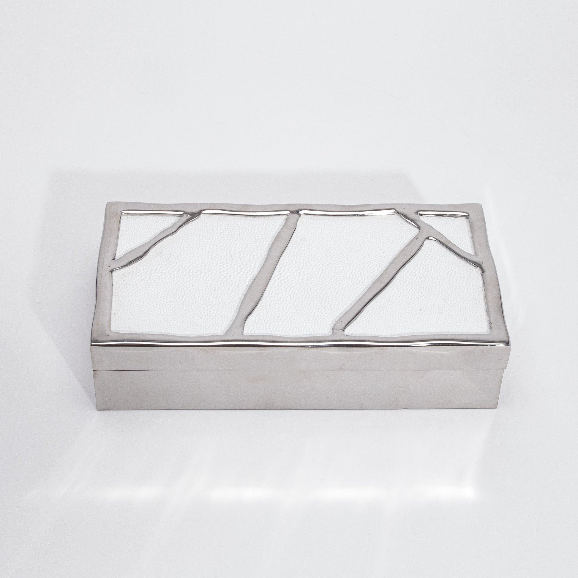 Modern Box in White Shagreen with Polished Stainless Steel by R&Y Augousti