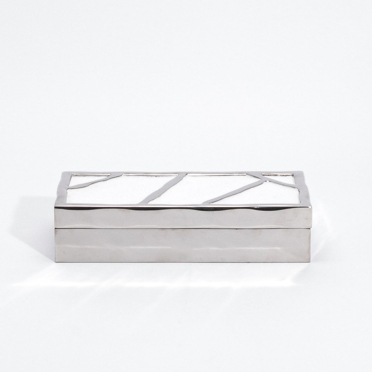Modern Box in White Shagreen with Polished Stainless Steel by R&Y Augousti