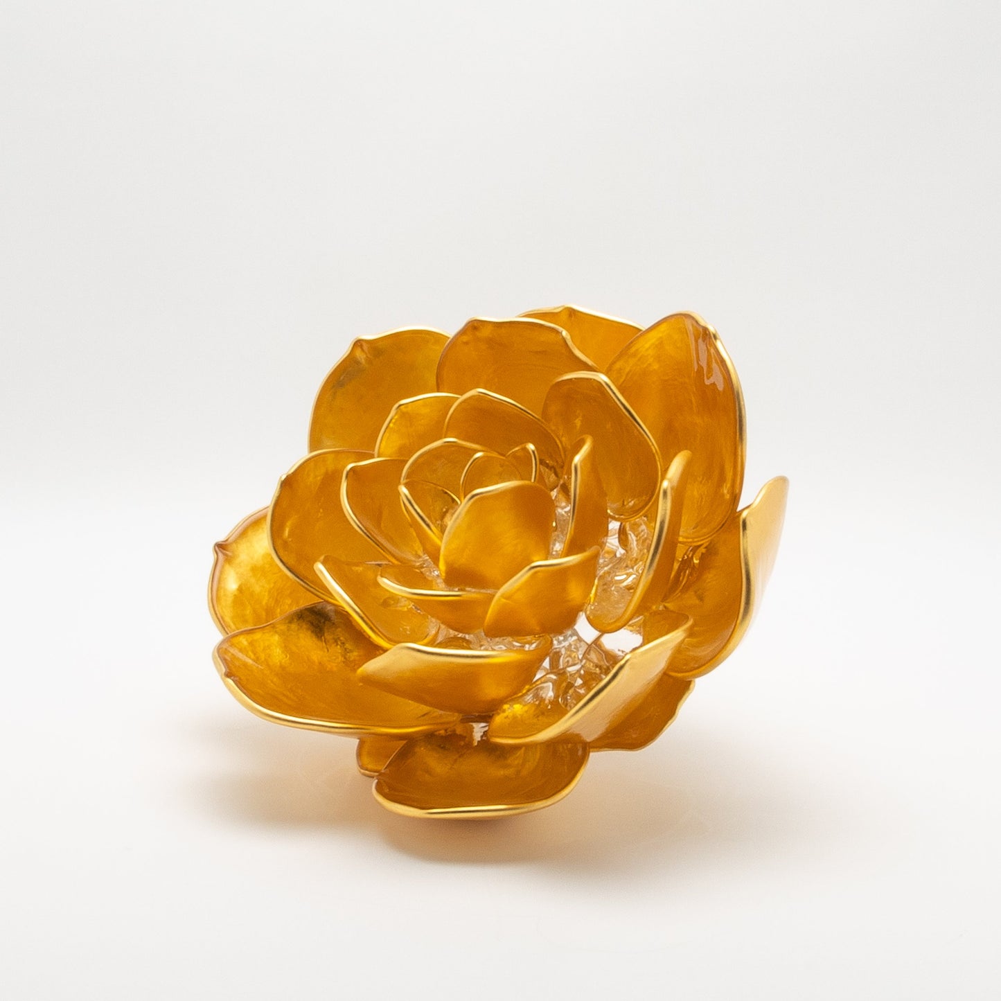 Gold Lotus by Martin Blank