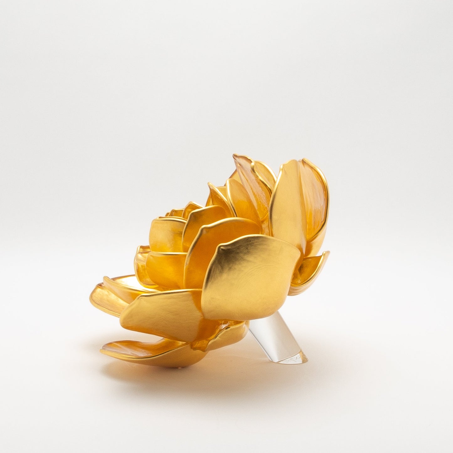 Gold Lotus by Martin Blank