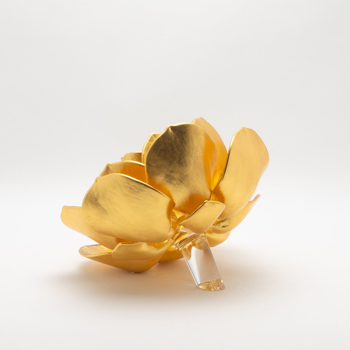 Gold Lotus by Martin Blank