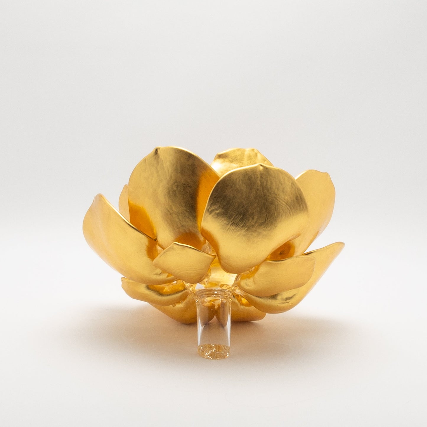 Gold Lotus by Martin Blank