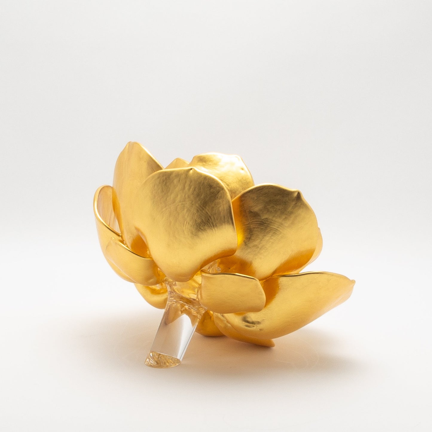 Gold Lotus by Martin Blank