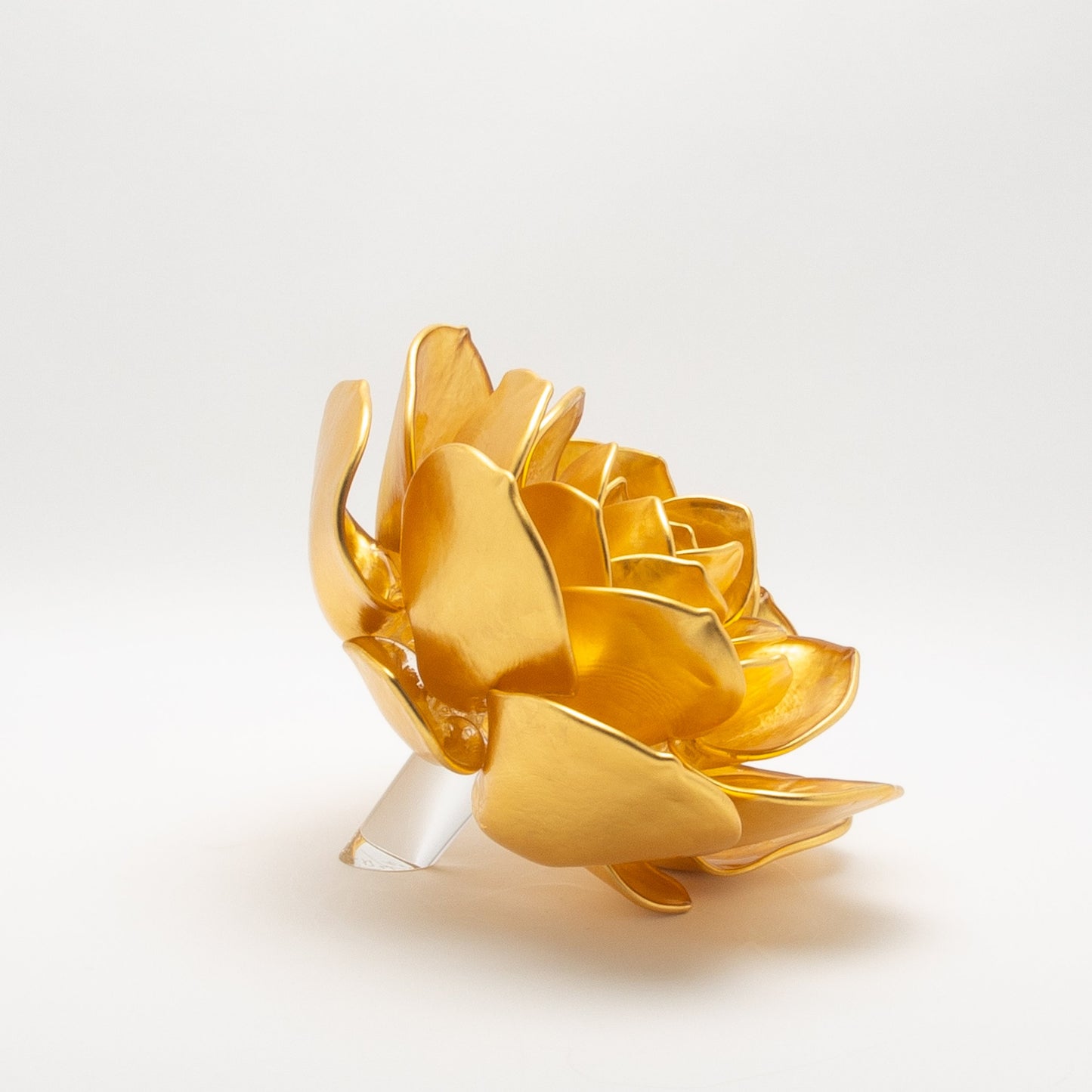 Gold Lotus by Martin Blank