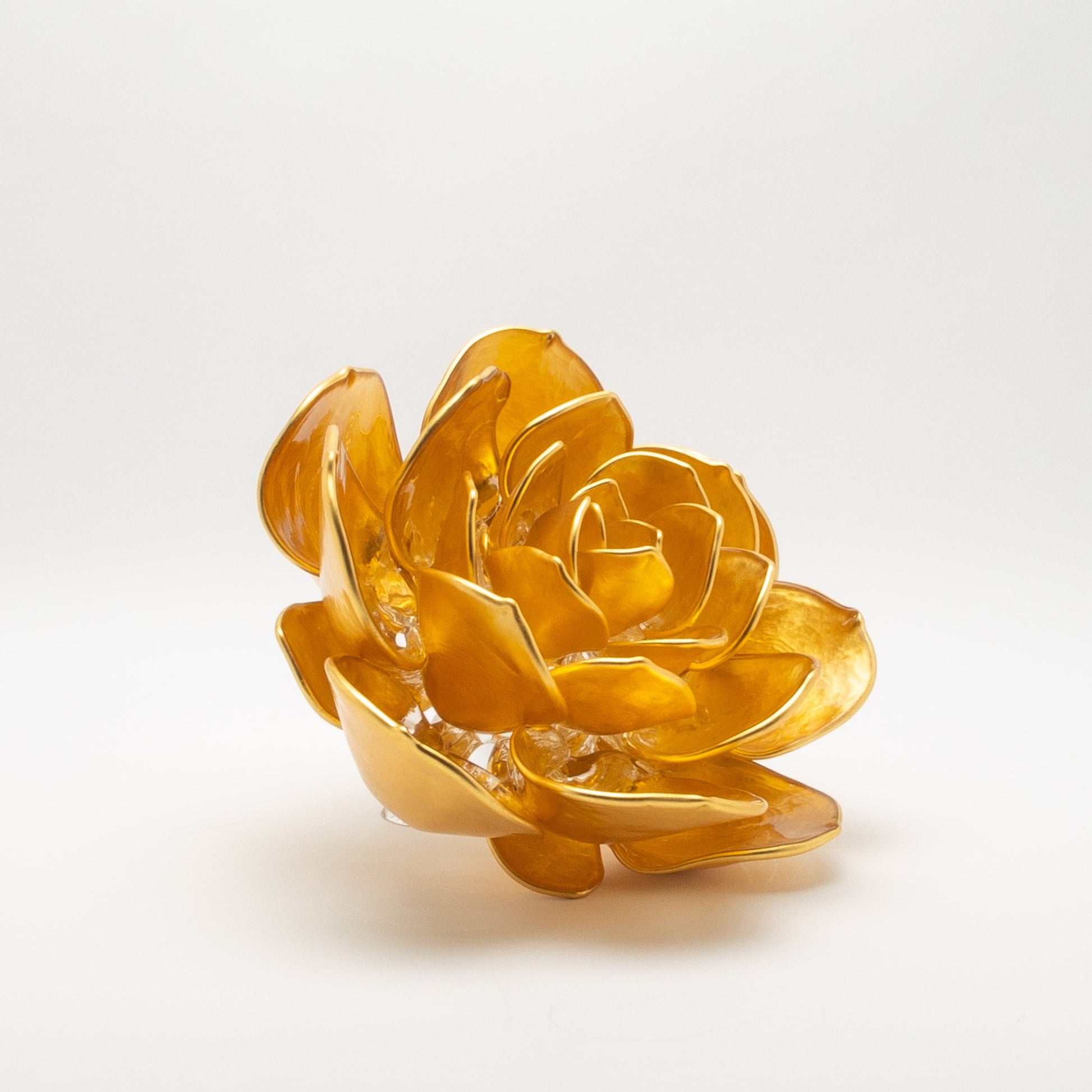 Gold Lotus by Martin Blank