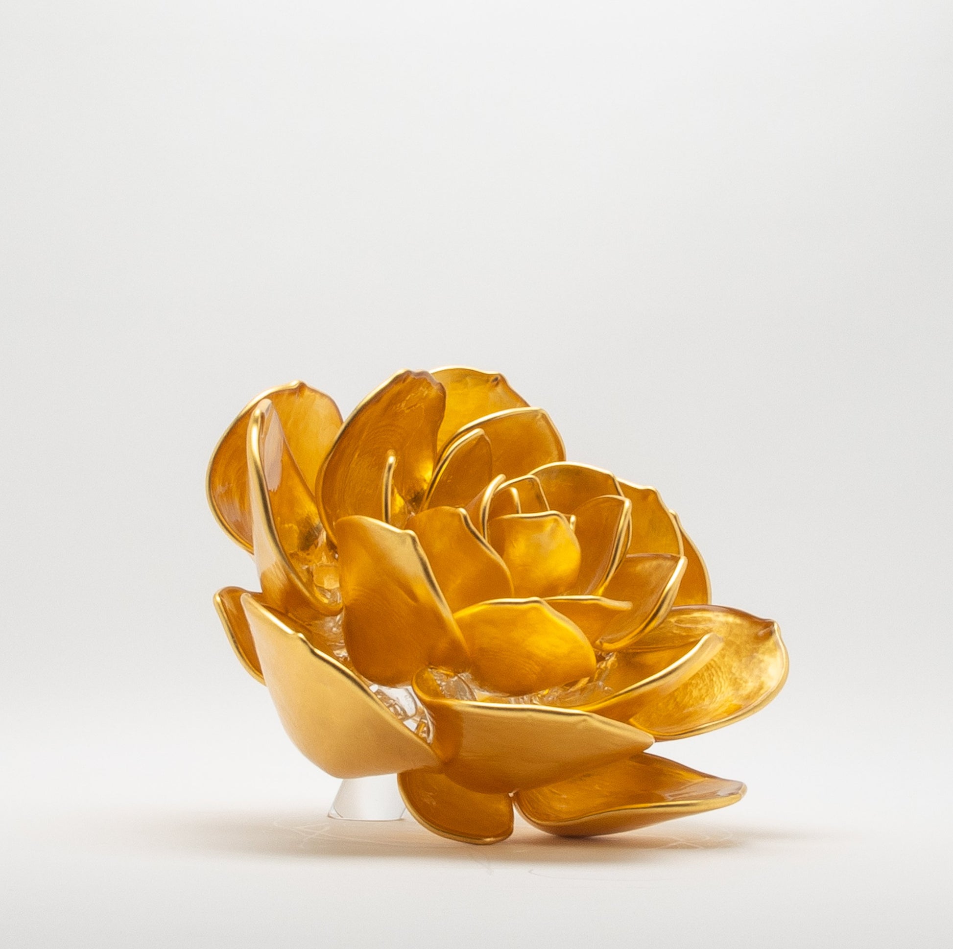Gold Lotus by Martin Blank
