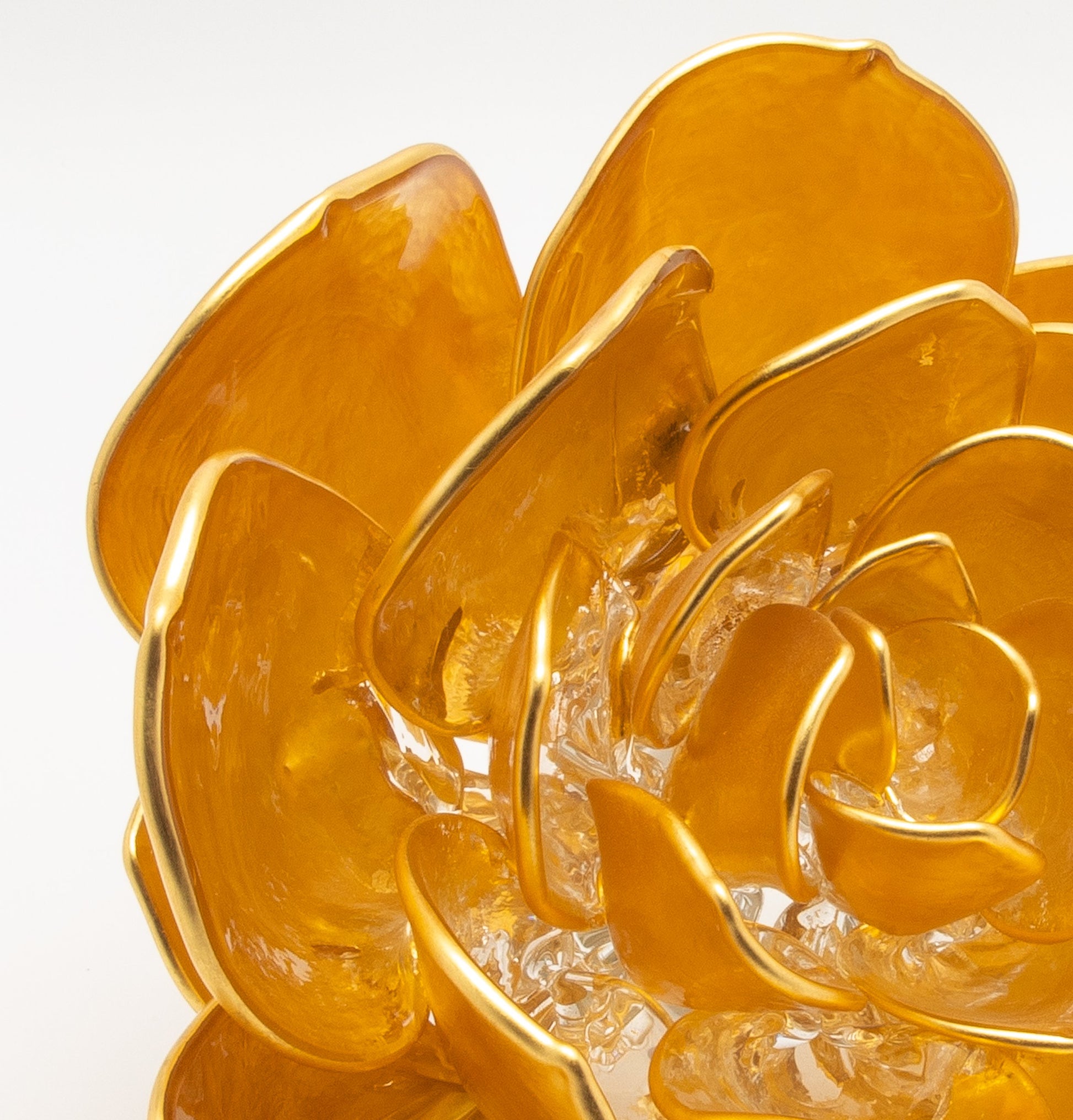 Gold Lotus by Martin Blank