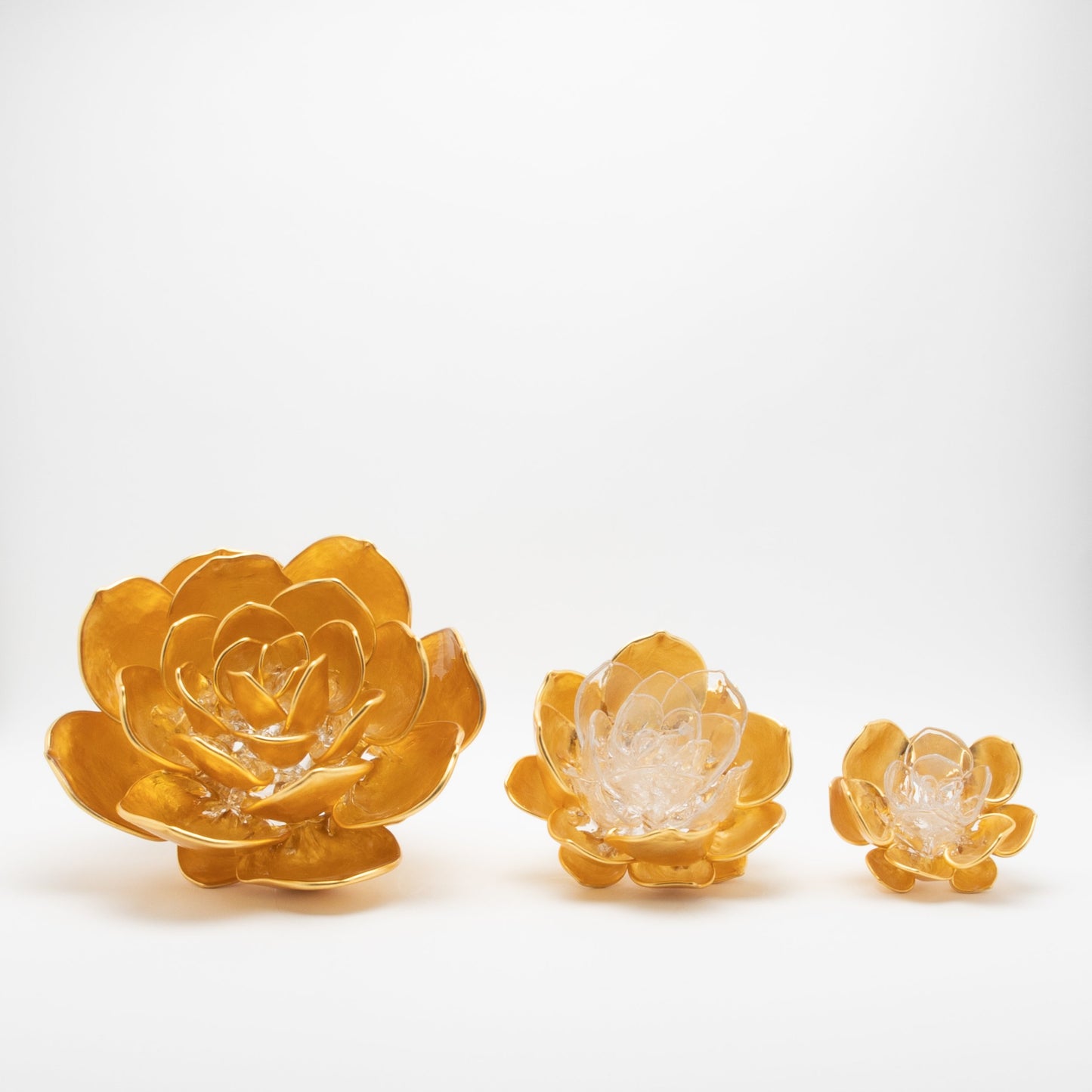 Gold Lotus by Martin Blank
