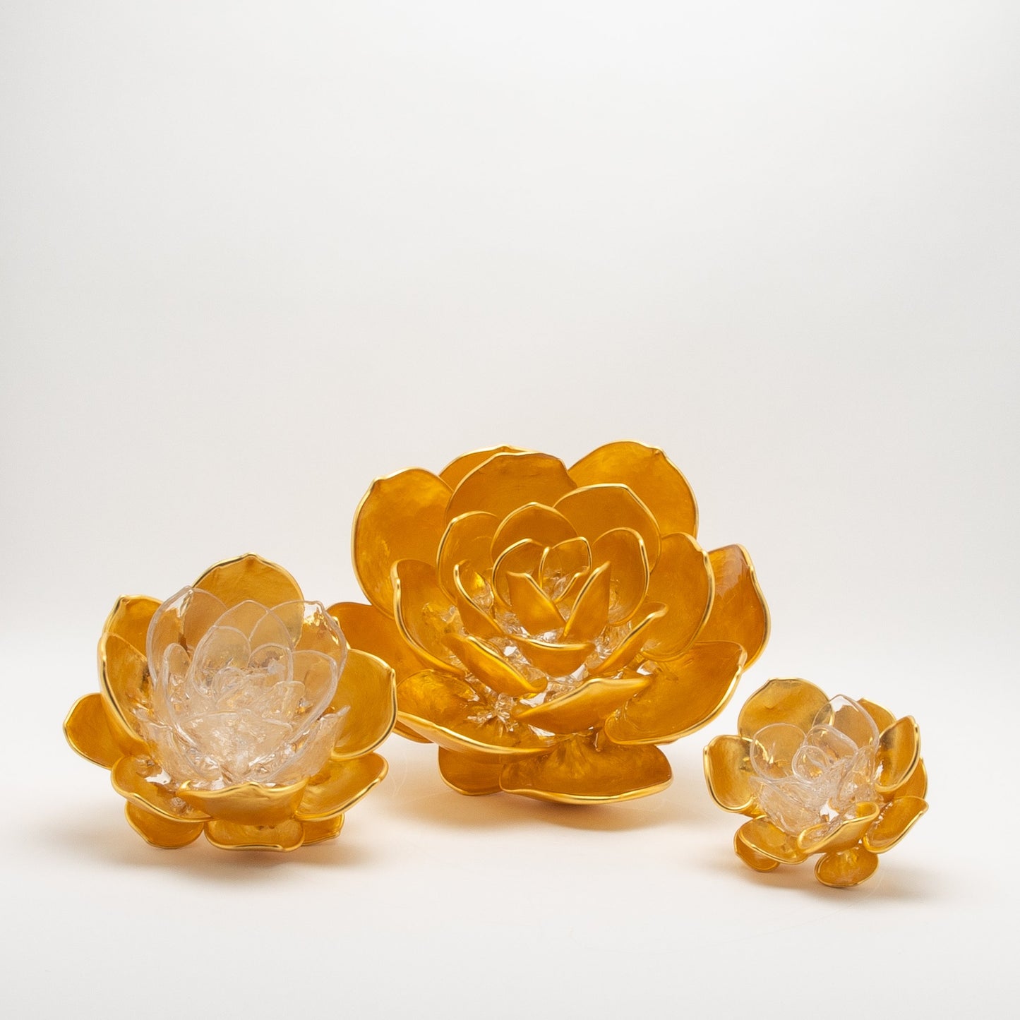 Gold Lotus by Martin Blank