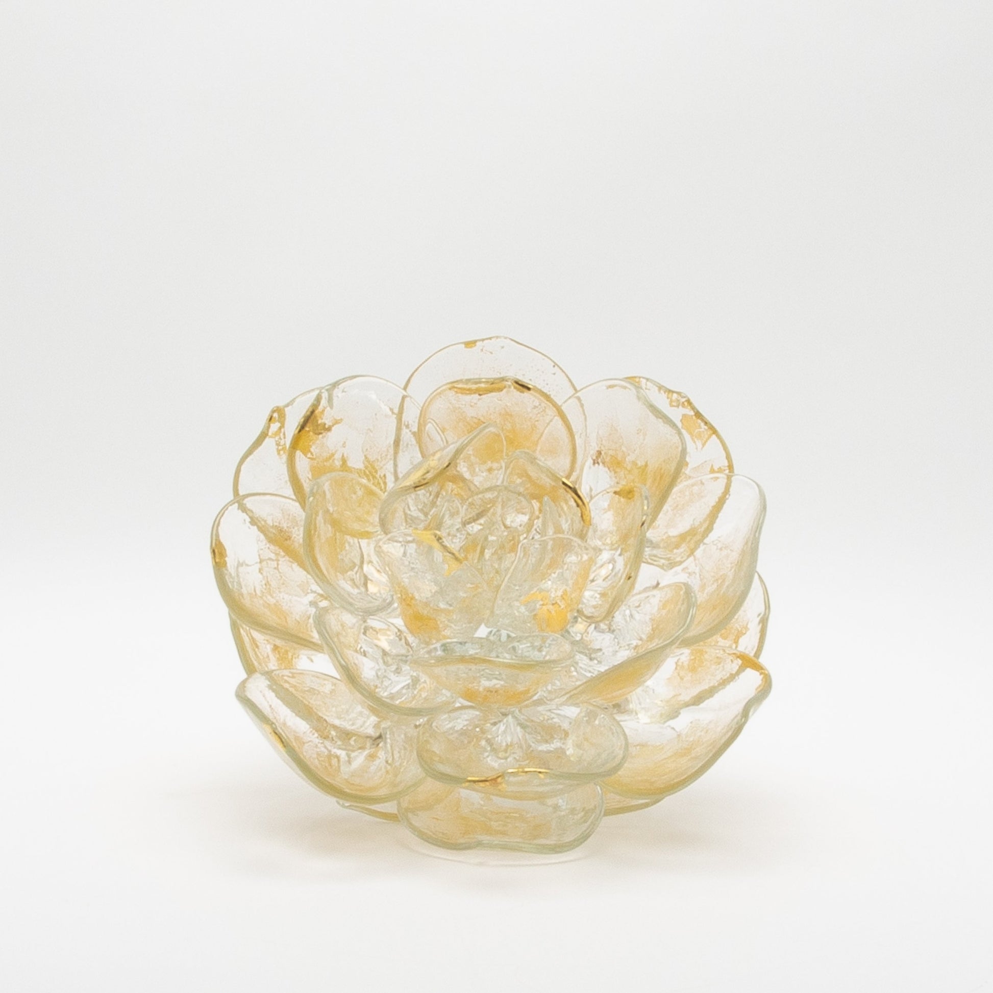 Champagne Lotus by Martin Blank