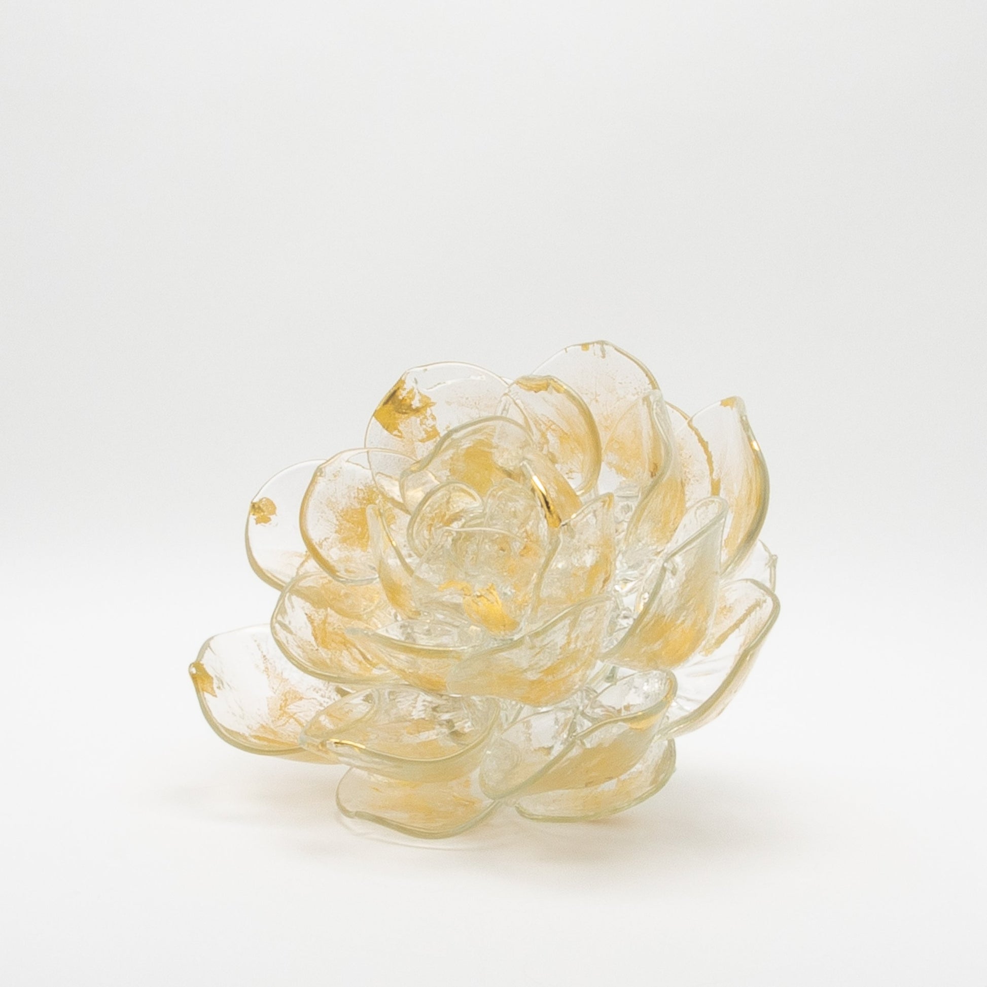 Champagne Lotus by Martin Blank