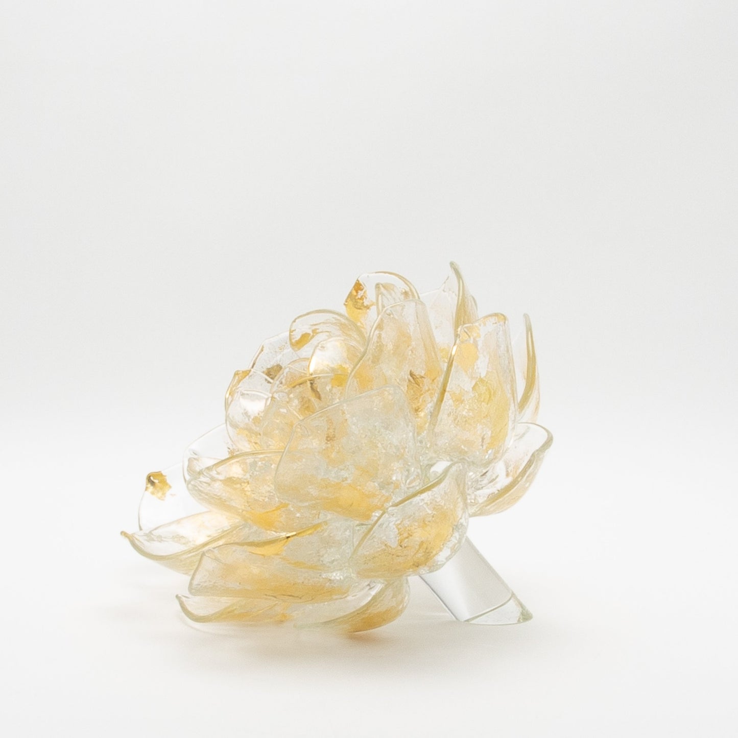 Champagne Lotus by Martin Blank