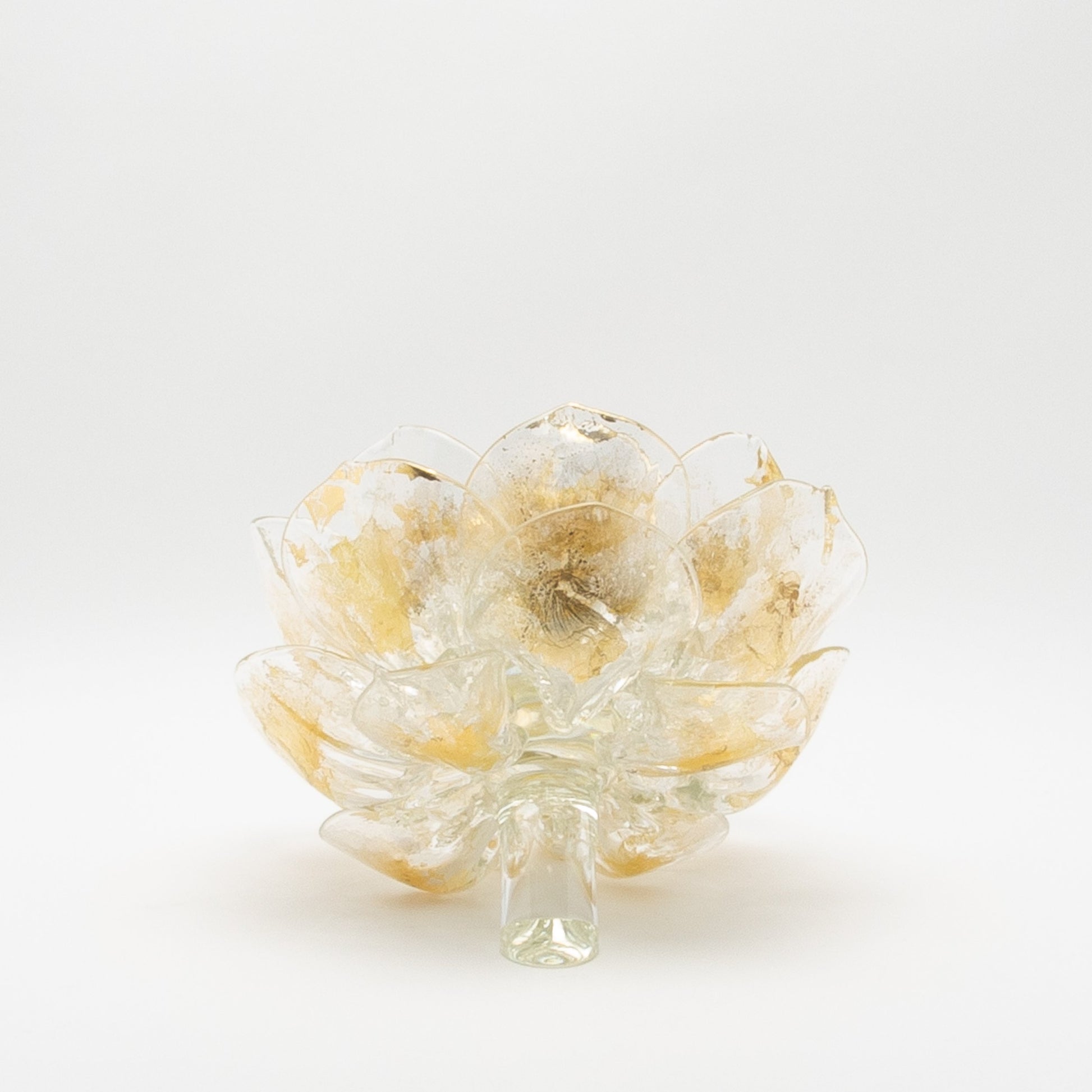 Champagne Lotus by Martin Blank