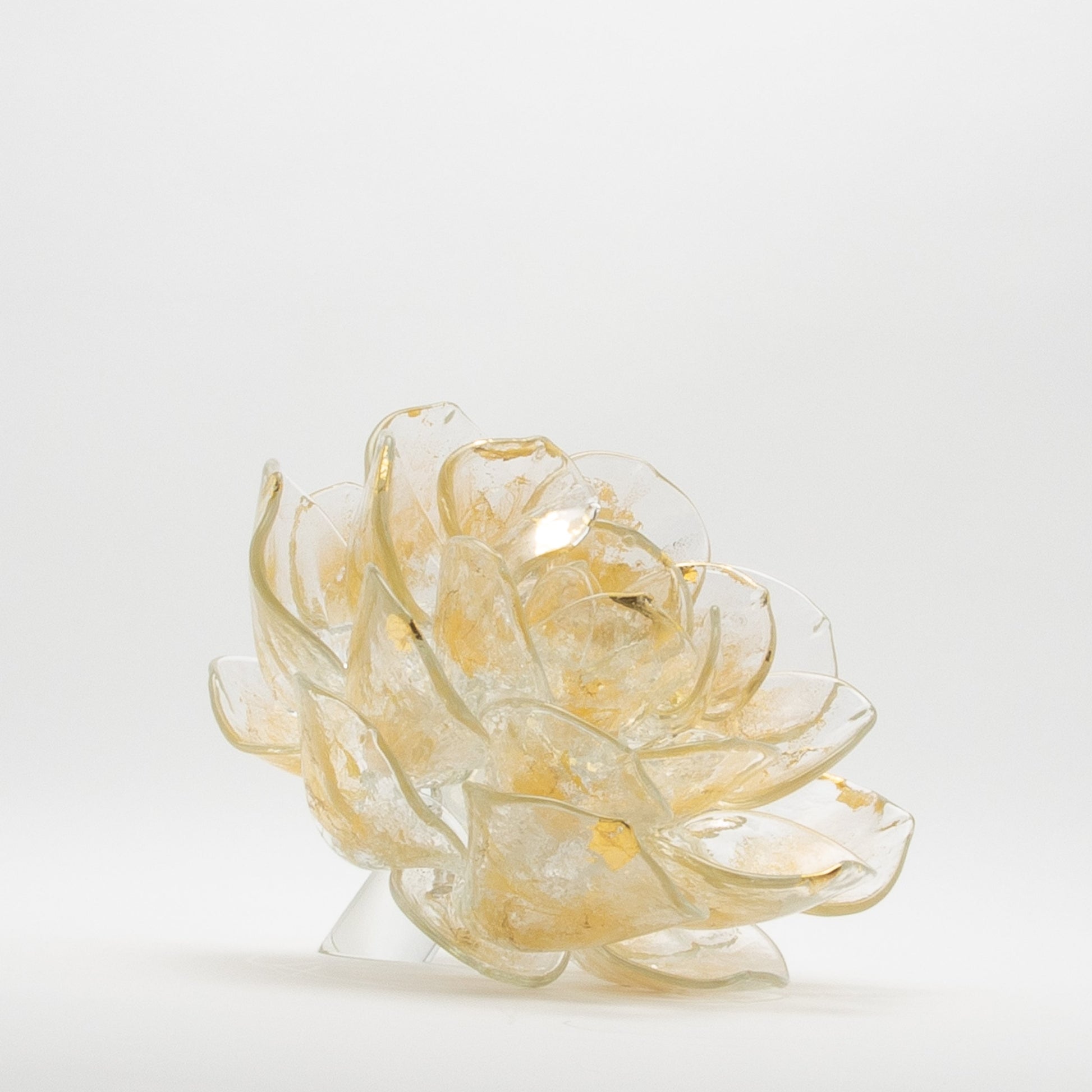 Champagne Lotus by Martin Blank