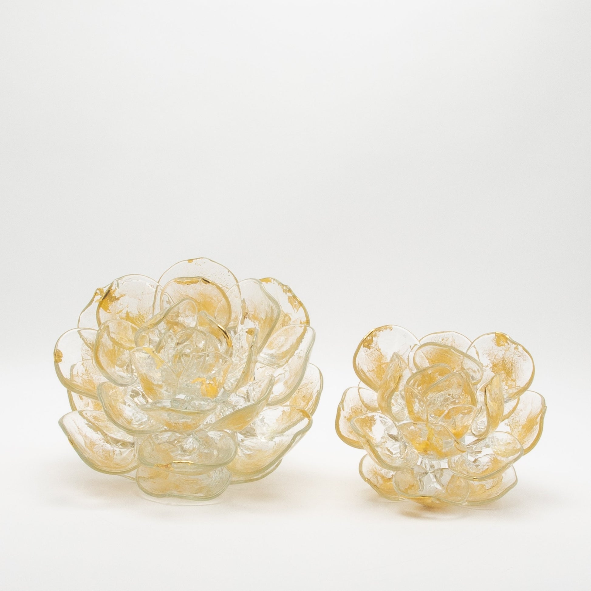 Champagne Lotus by Martin Blank