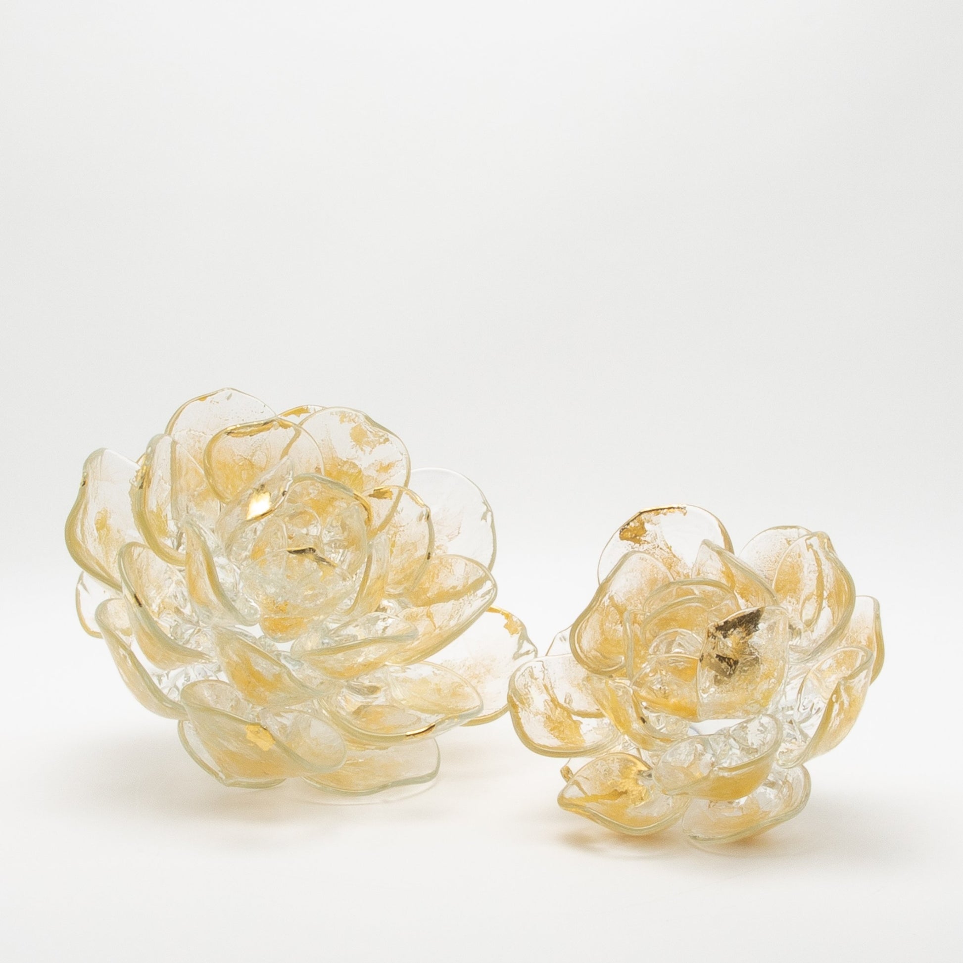 Champagne Lotus by Martin Blank